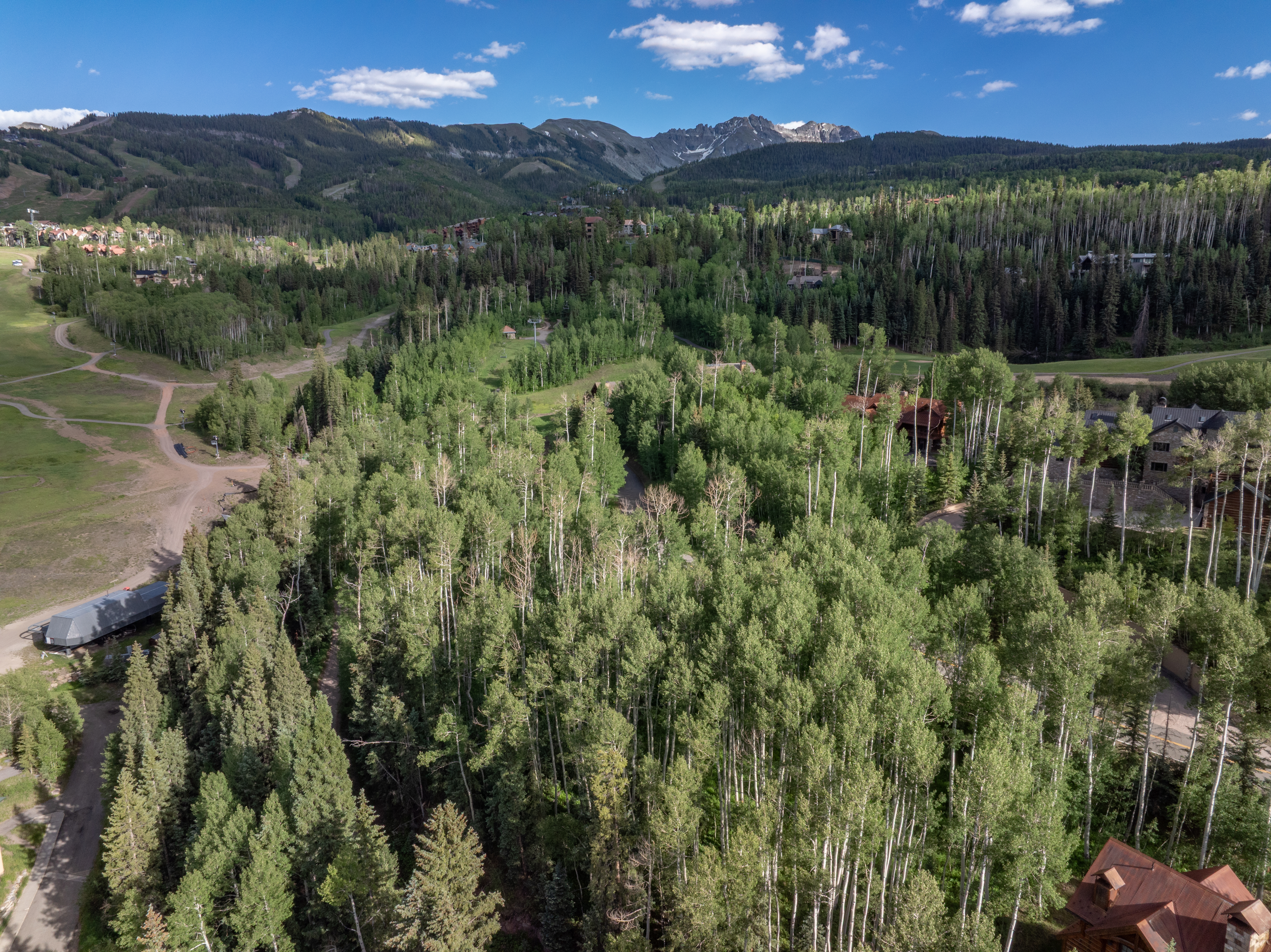  Lot 534 Russell Drive, Mountain Village, CO, 81435 - 物件實景