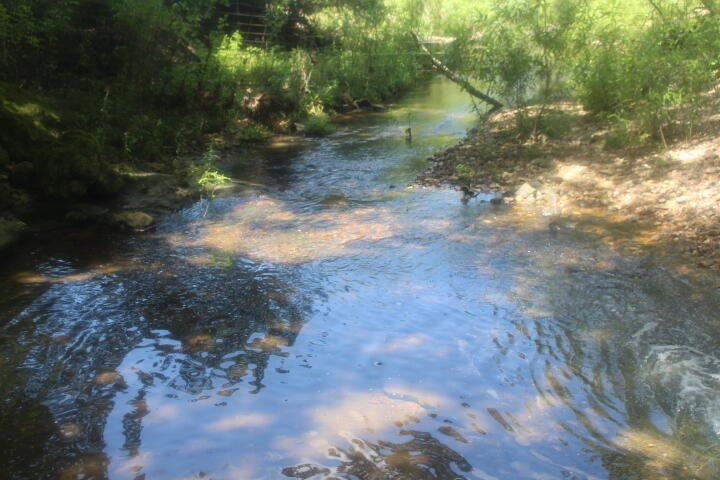 Polk, Missouri, 65727, United States, ,Land,For Sale,1980569