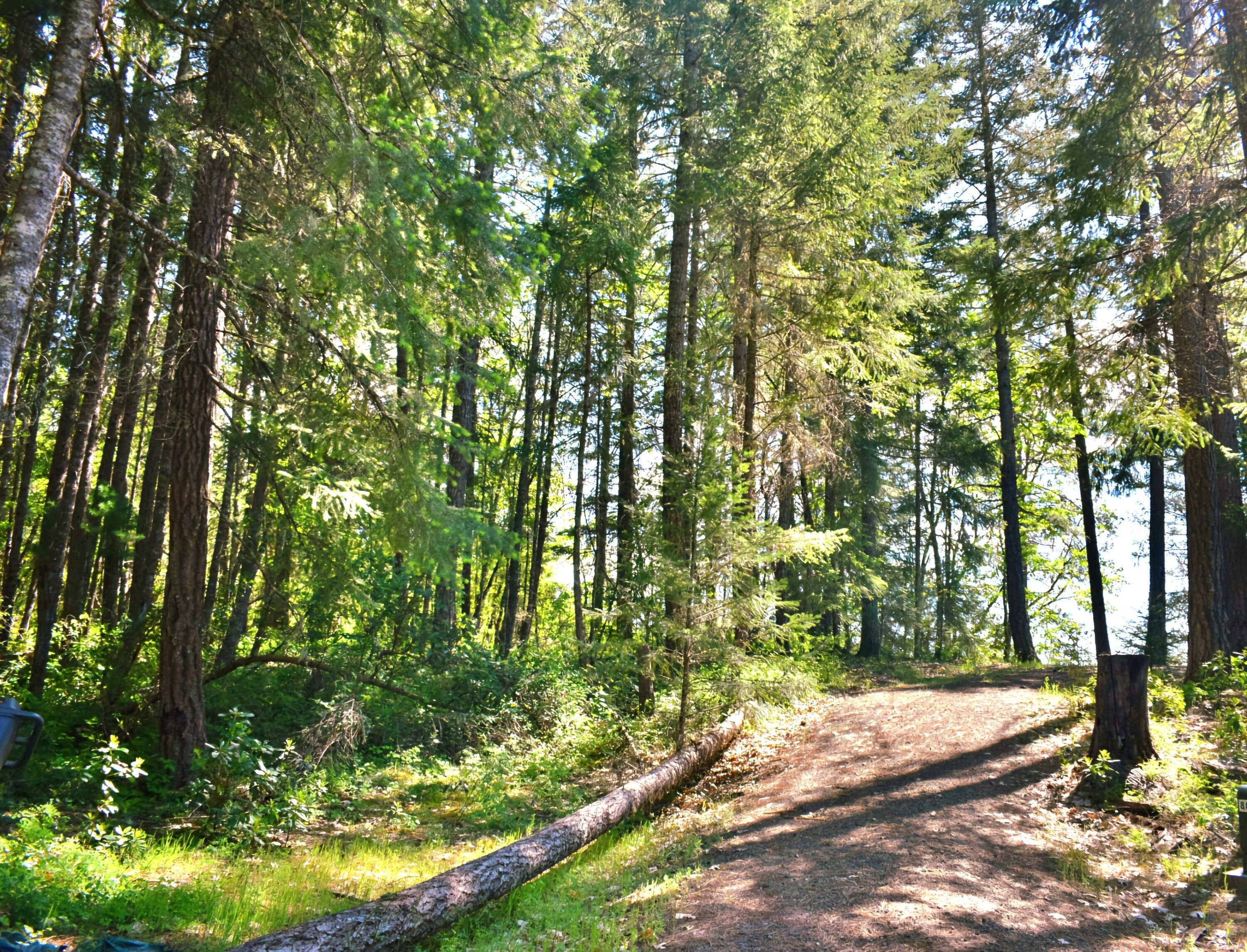 Cave Junction, Oregon, 97523, United States, 3 Bedrooms Bedrooms, ,3 BathroomsBathrooms,Residential,For Sale,1975674