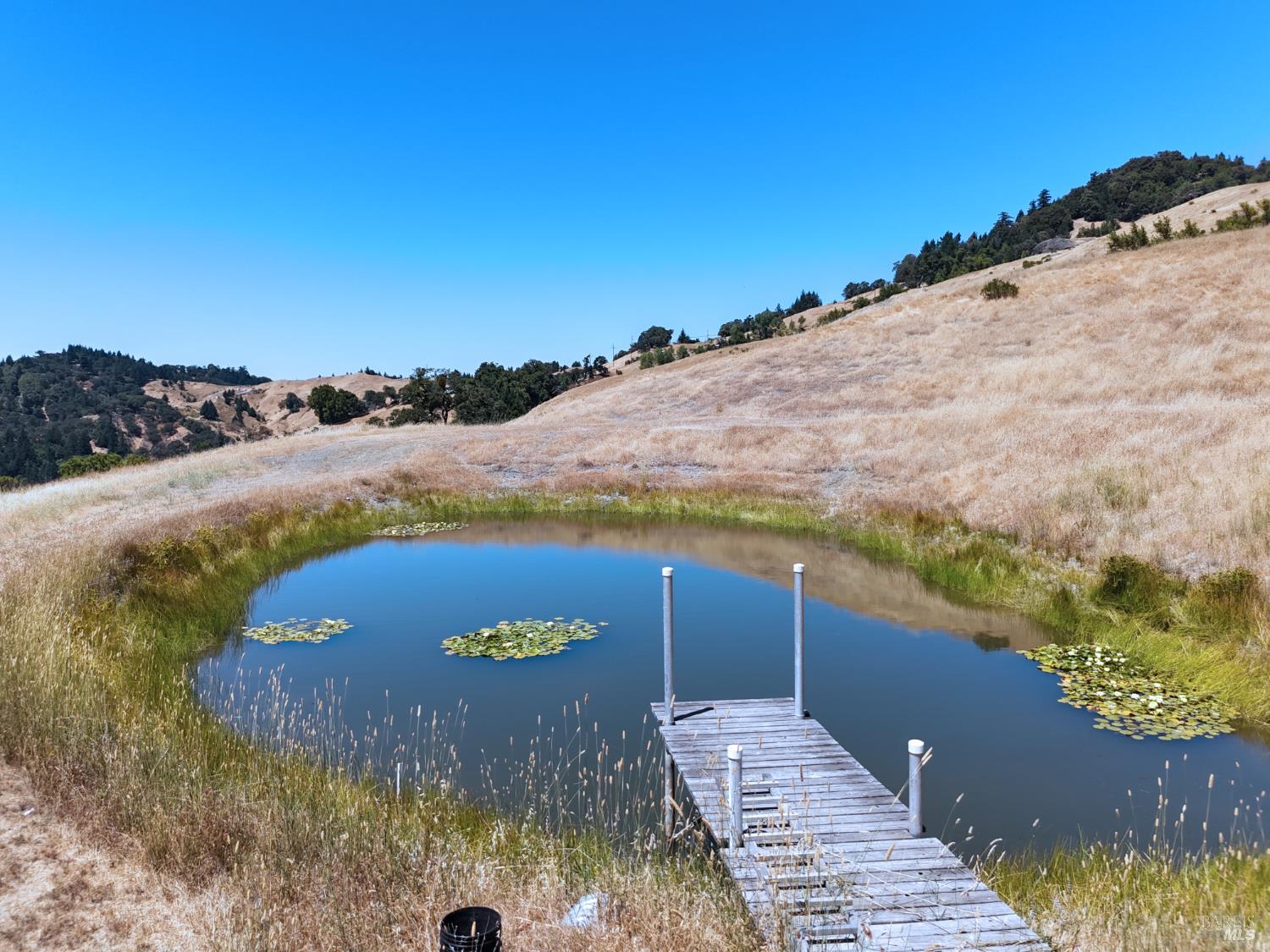 Garberville, California, 95542, United States, 3 Bedrooms Bedrooms, ,2 BathroomsBathrooms,Residential,For Sale,1914332