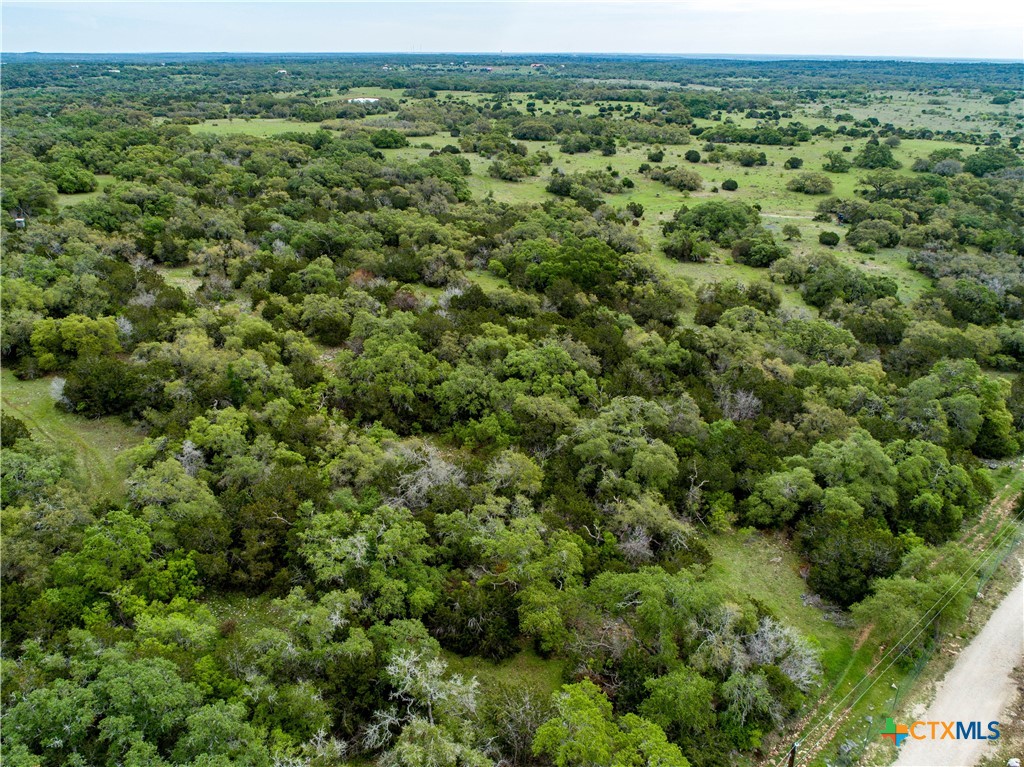 San Marcos, Texas, 78666, United States, ,Land,For Sale,1990898