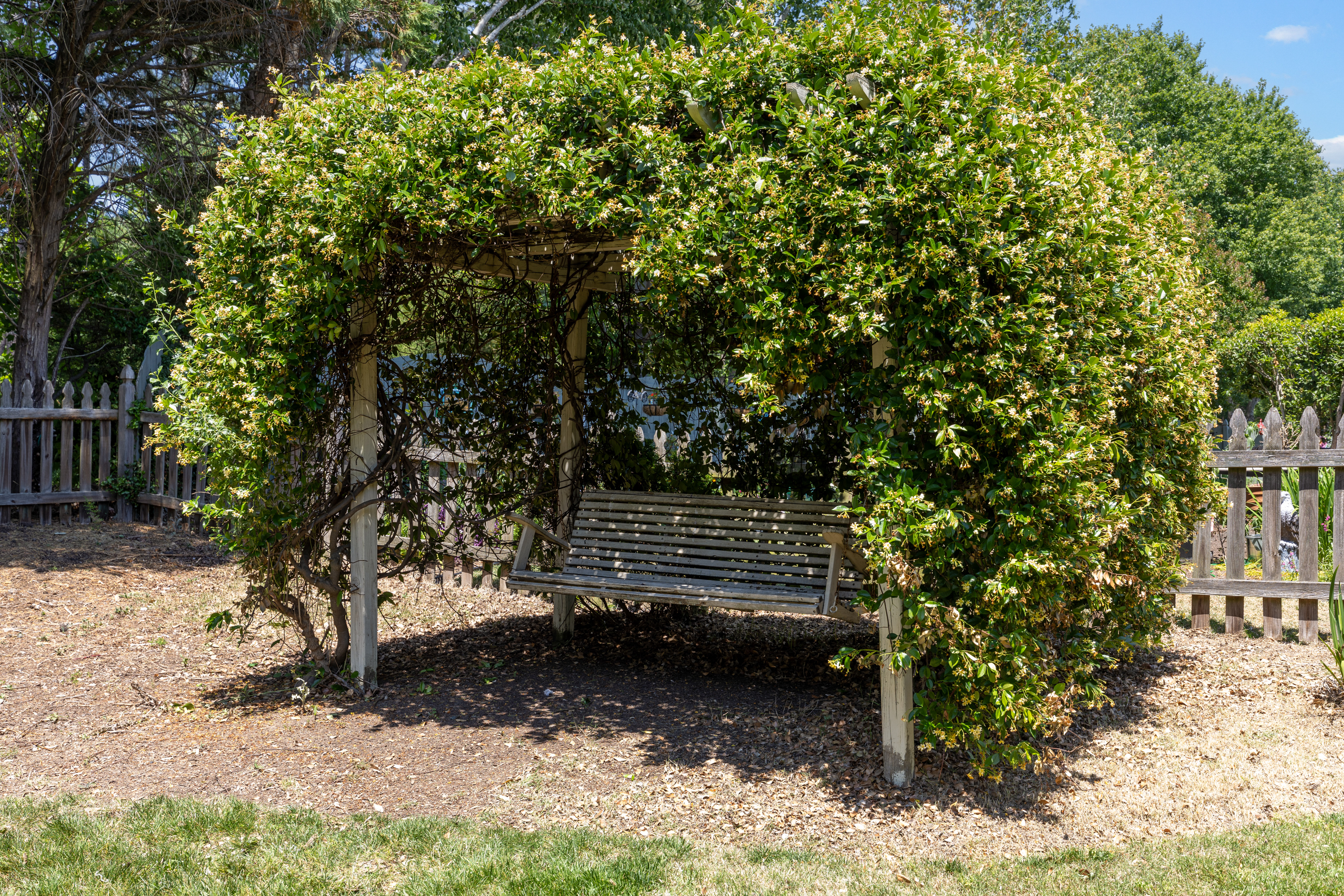  2305 Nutting Lane, Apex, NC 27523 - 物件實景