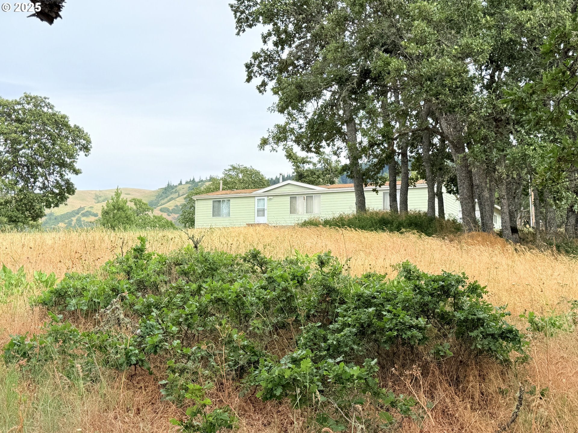 Lyle, Washington, 98635, United States, 3 Bedrooms Bedrooms, ,2 BathroomsBathrooms,Residential,For Sale,1875194