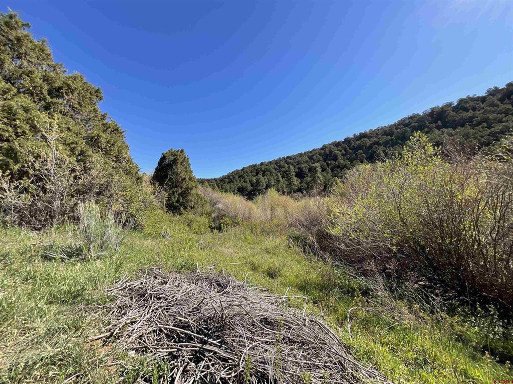 Montrose, Colorado, 81403, United States, ,Land,For Sale,1919926