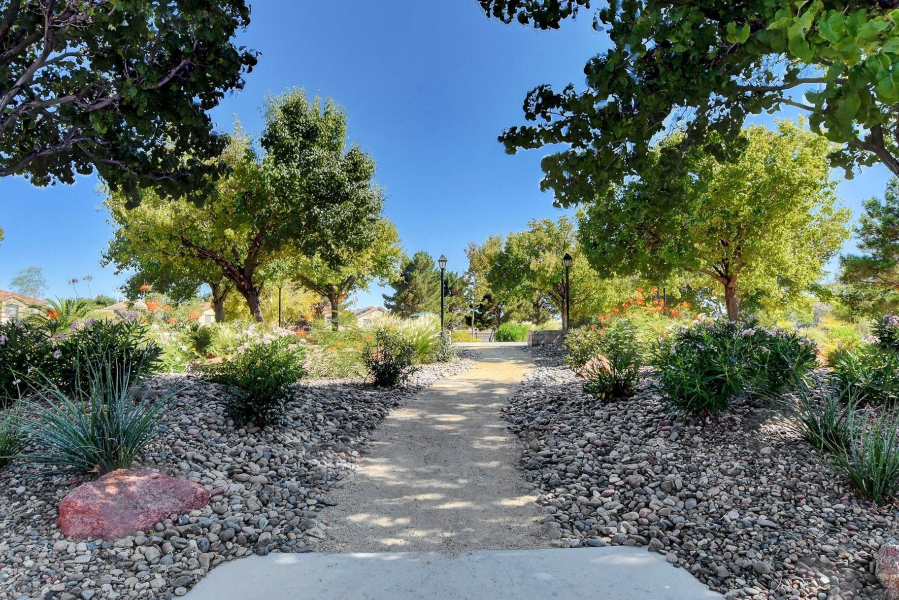  New to Market - 物件實景