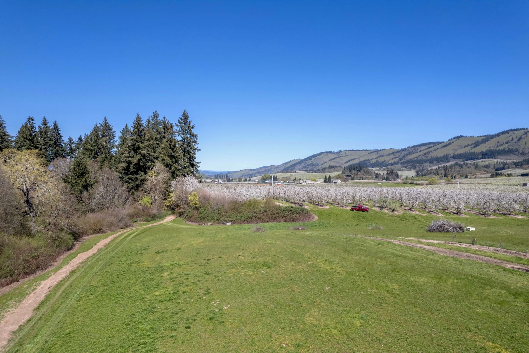  3316 THOMSEN RD Hood River, OR 97031 - 物件實景