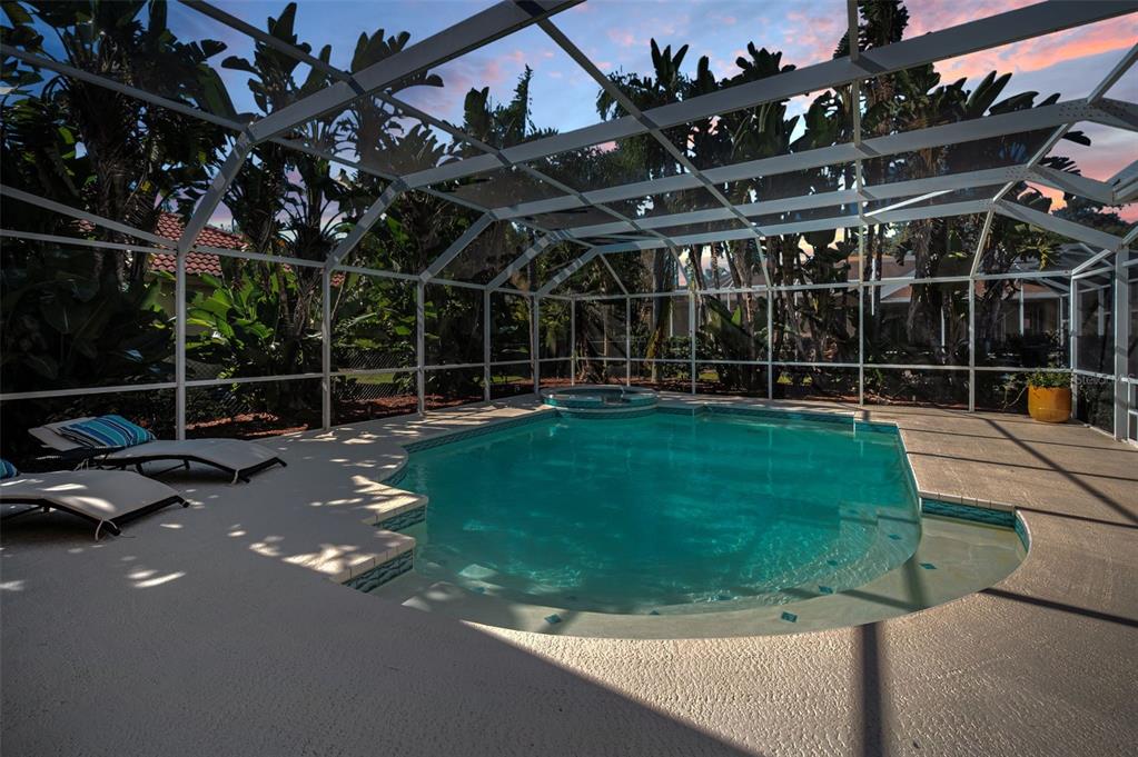 Palm Harbor, Florida, 34685, United States, 4 Bedrooms Bedrooms, ,3 BathroomsBathrooms,Residential,For Sale,1987675