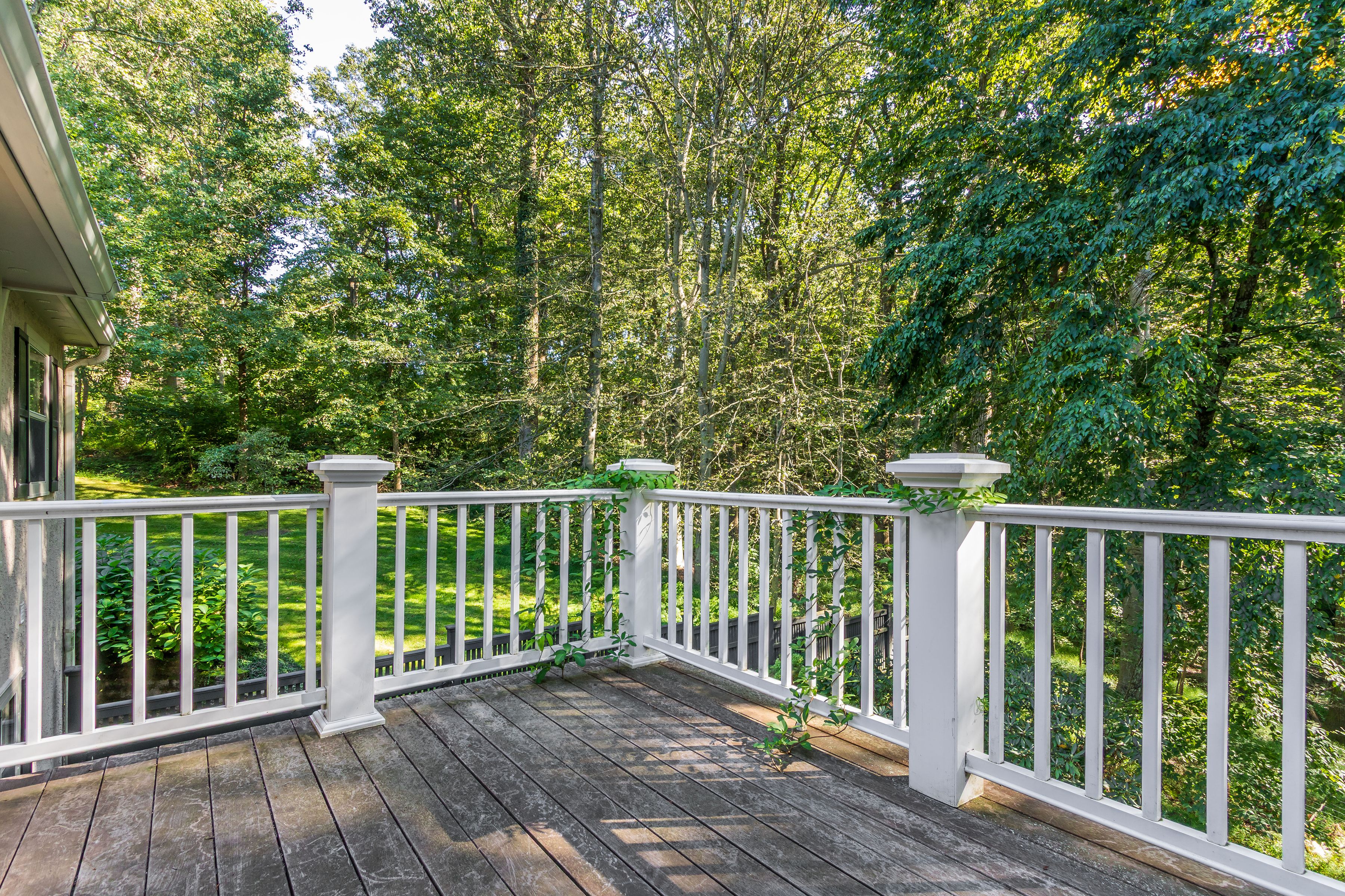  6731 Paxson Road, New Hope, PA 18938 - 物件實景