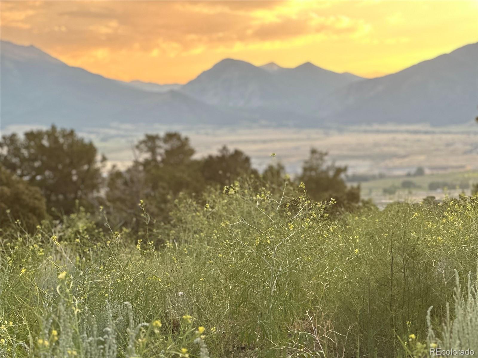 Buena Vista, Colorado, 81211, United States, ,Land,For Sale,1979562