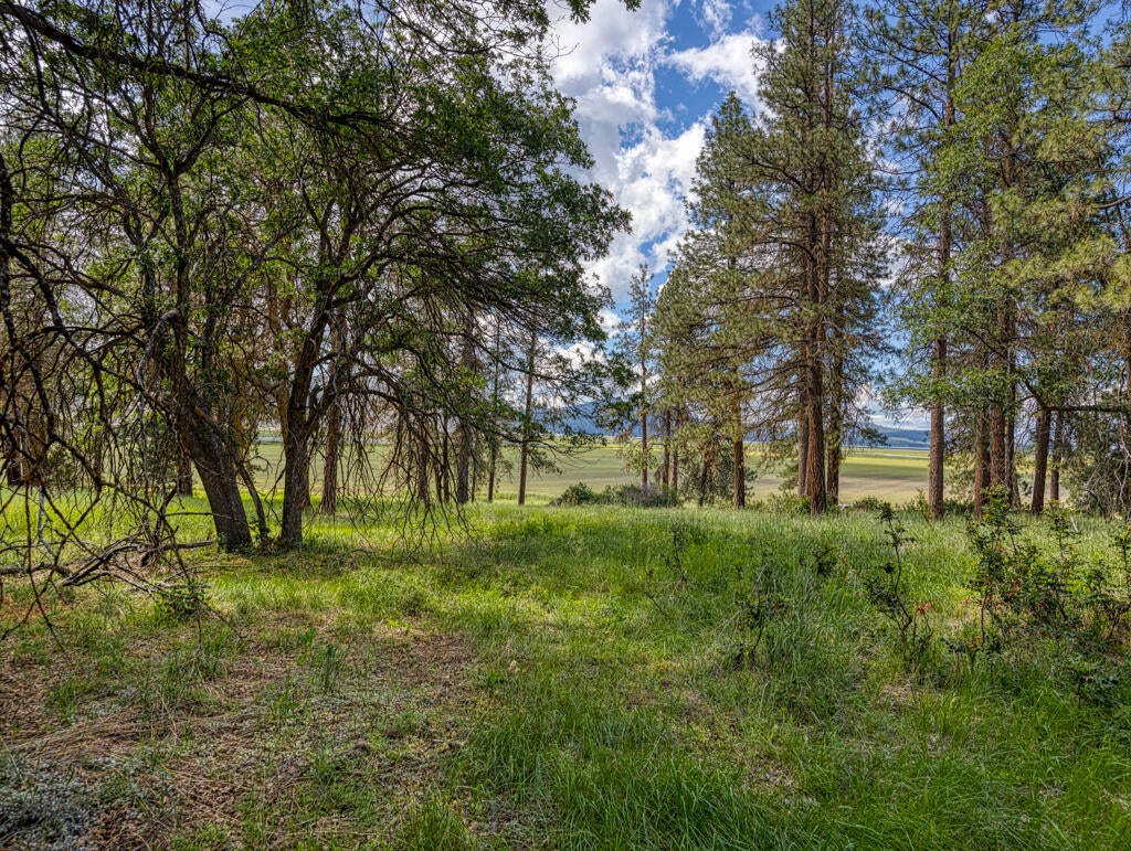 Klamath Falls, Oregon, 97601, United States, ,Land,For Sale,1793869
