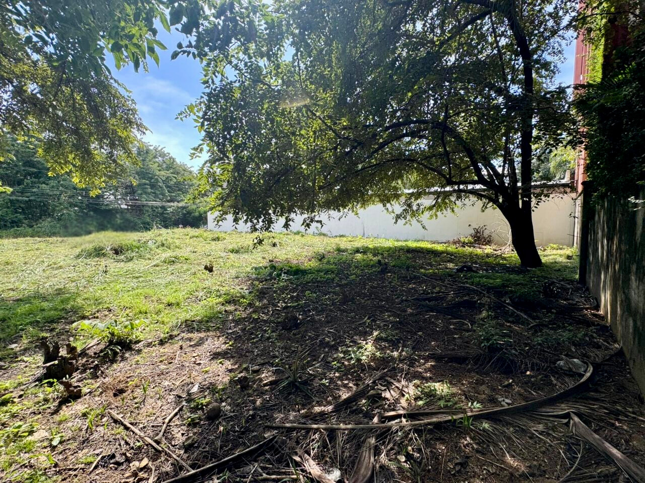 Langosta, Guanacaste, CR, ,Land,For Sale,1912110