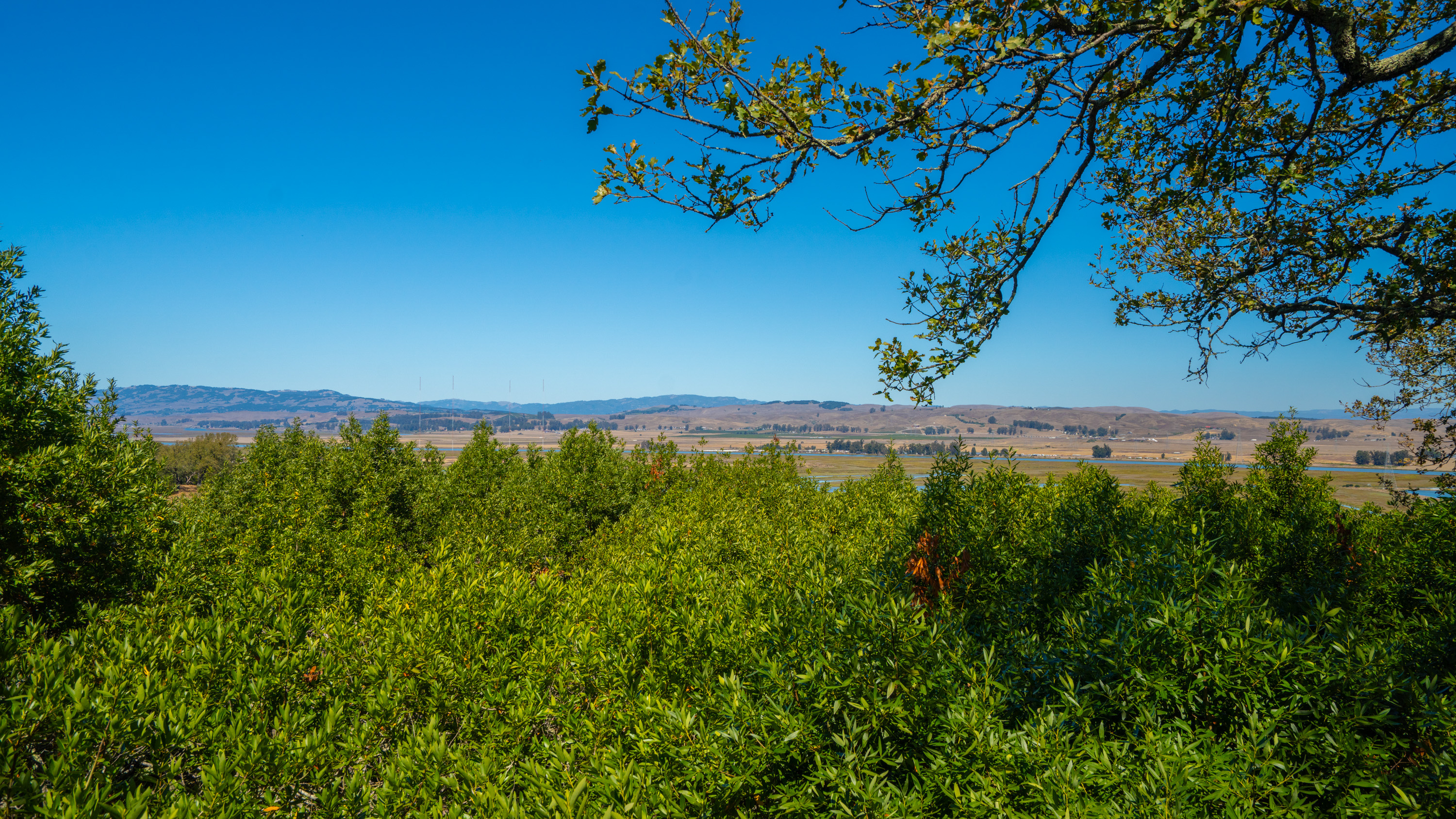  Panoramic Views in Private East Novato - 物件實景