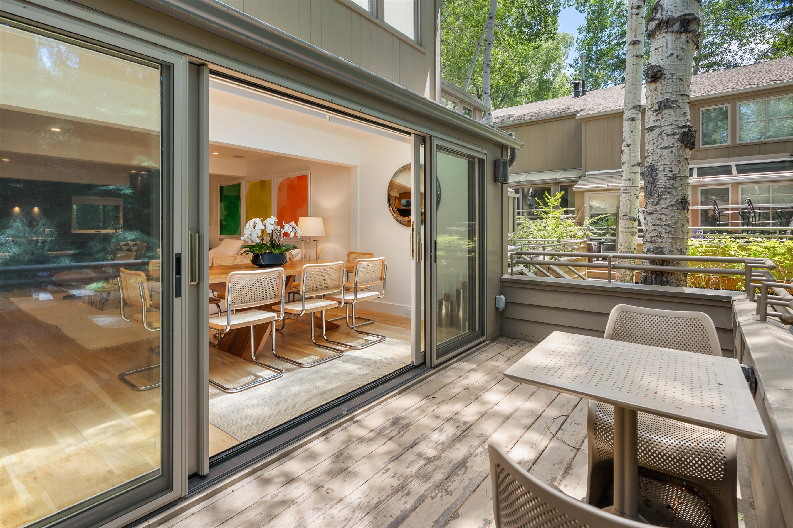  100 North 8th Street, Aspen, CO 81611 - 物件實景