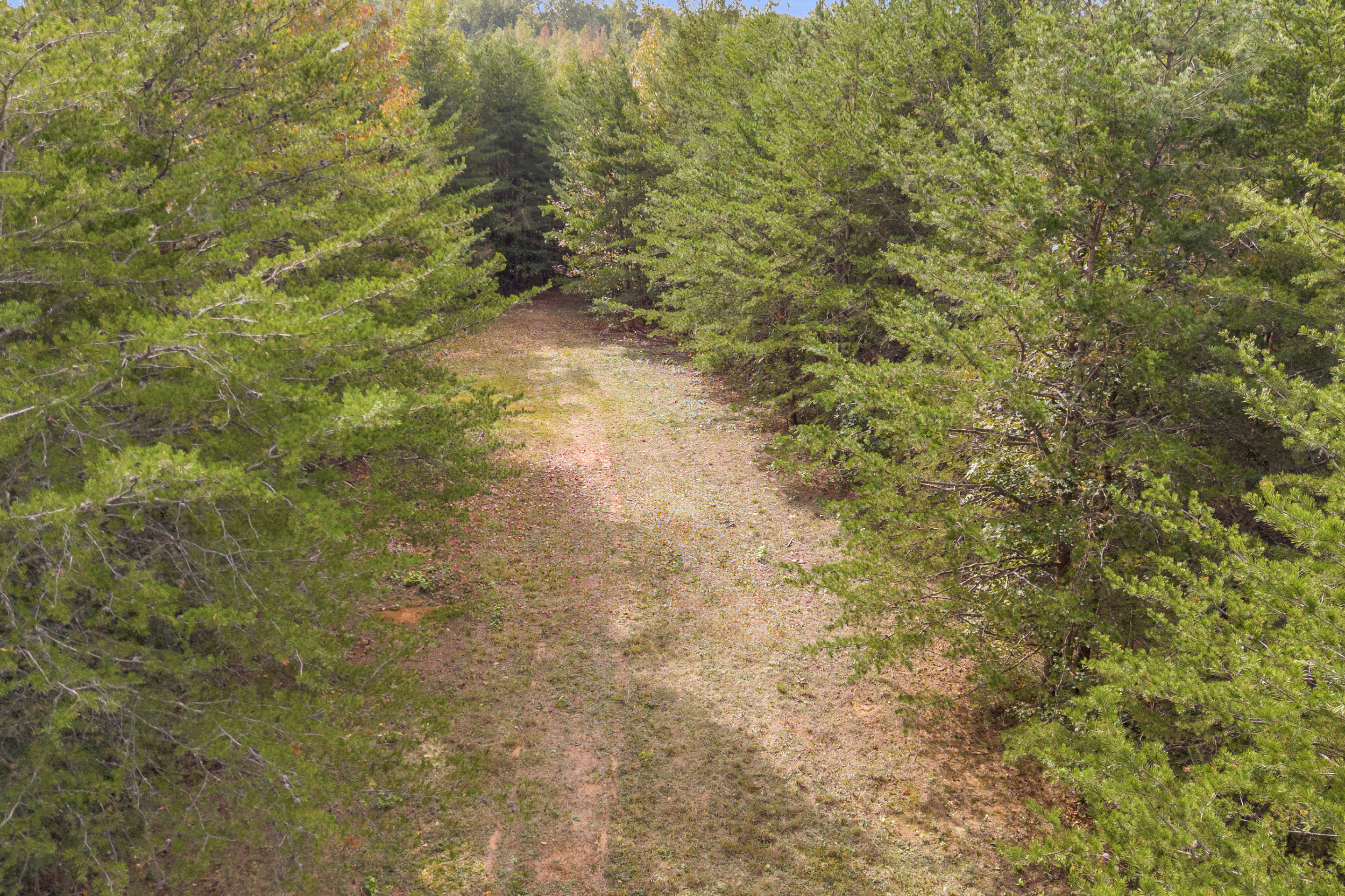 Cleveland, Georgia, 30528, United States, 3 Bedrooms Bedrooms, ,2 BathroomsBathrooms,Residential,For Sale,1979350