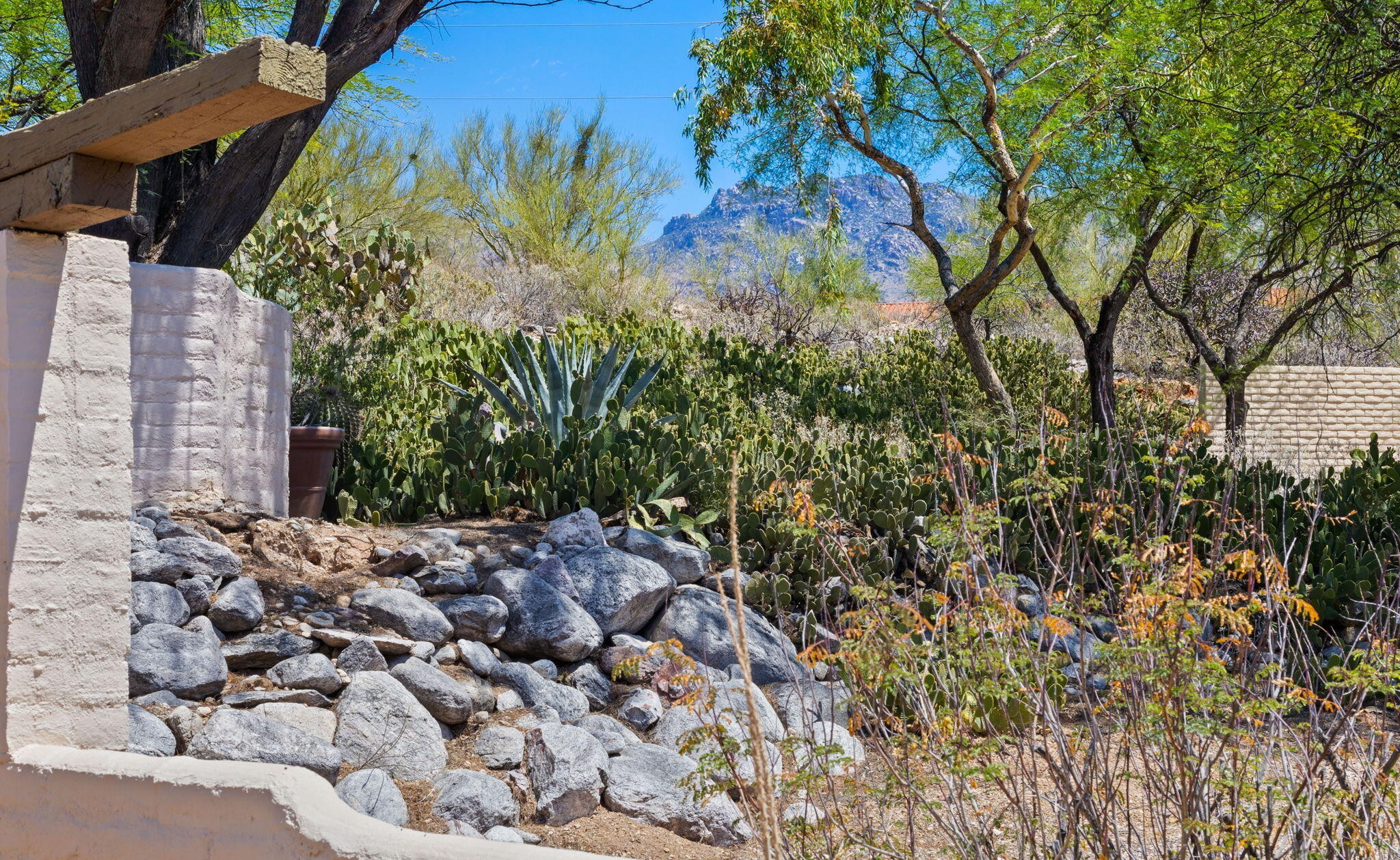  5406 N Camino de las Brisas, Tucson, AZ 85750 - 物件實景