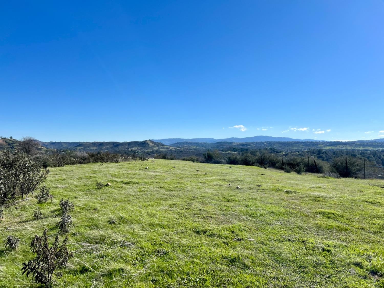 Burson, California, 95225, United States, ,Land,For Sale,1980133