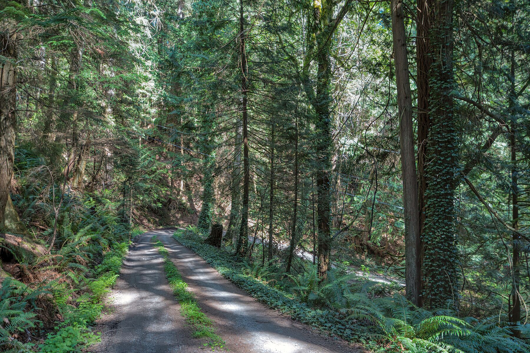  Roberts Creek, Sunshine Coast - 物件實景