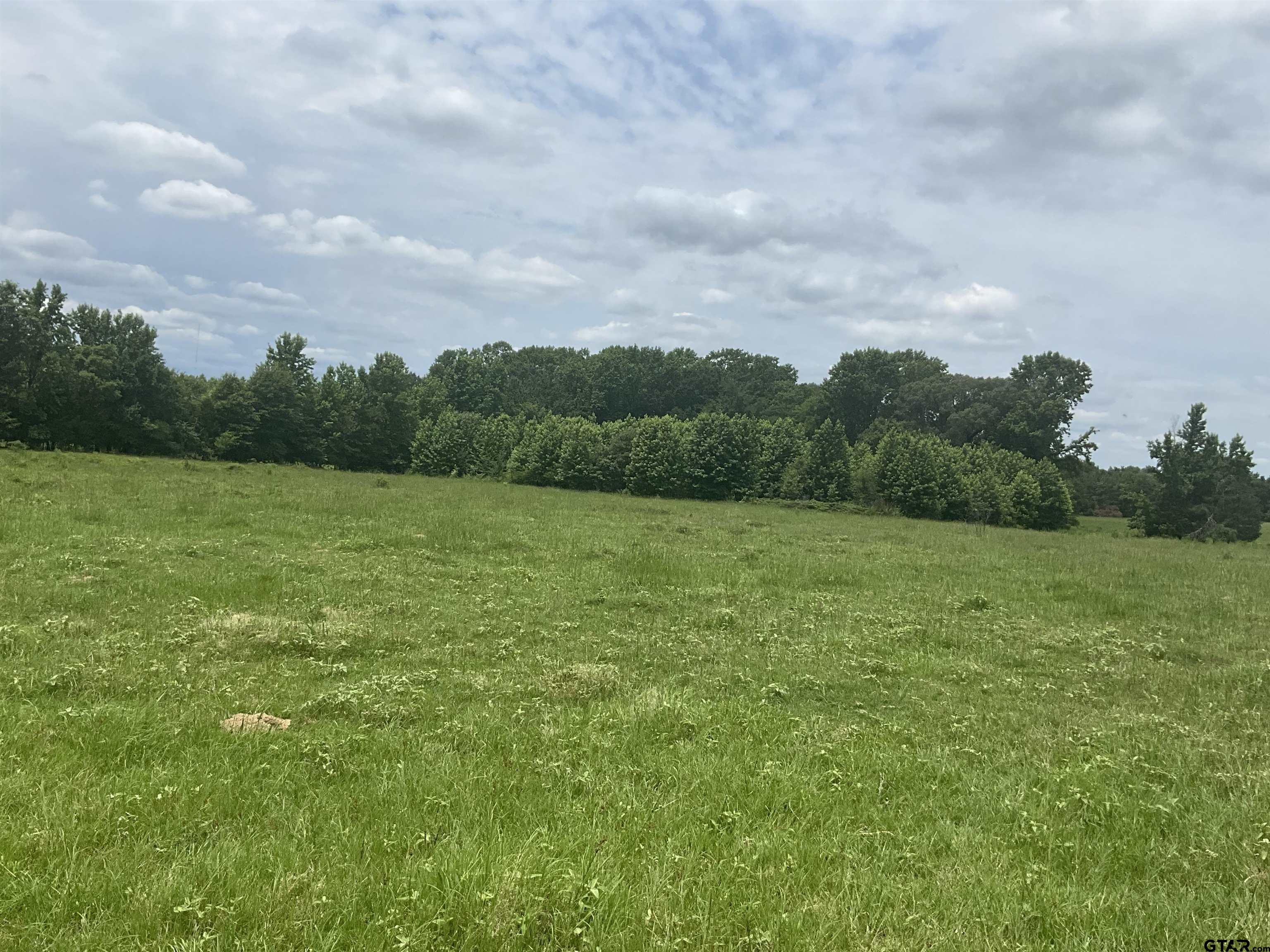 Pittsburg, Texas, 75686, United States, ,Land,For Sale,1976624