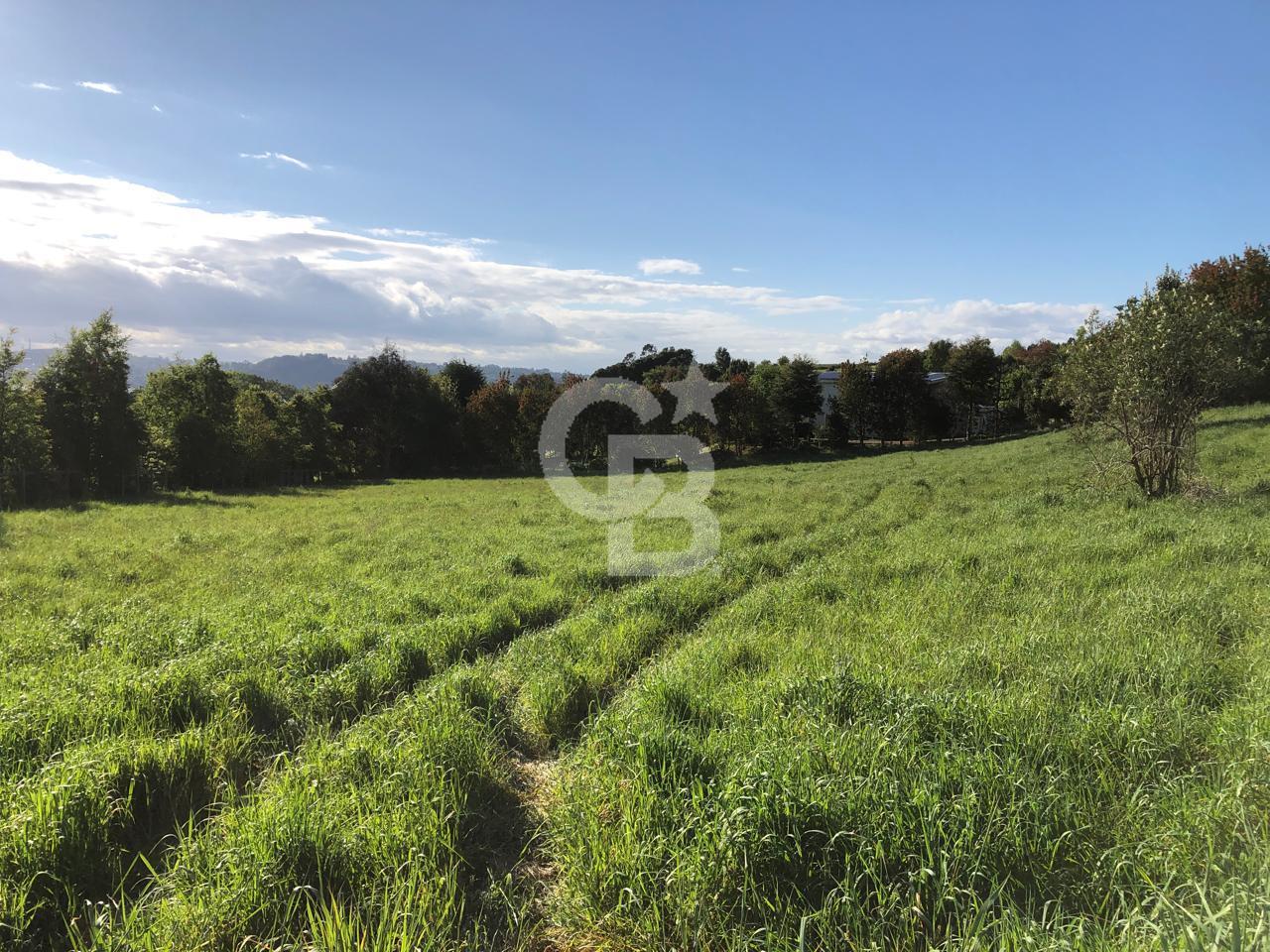 Puerto Varas, Chile, ,Residential,For Sale,1986771