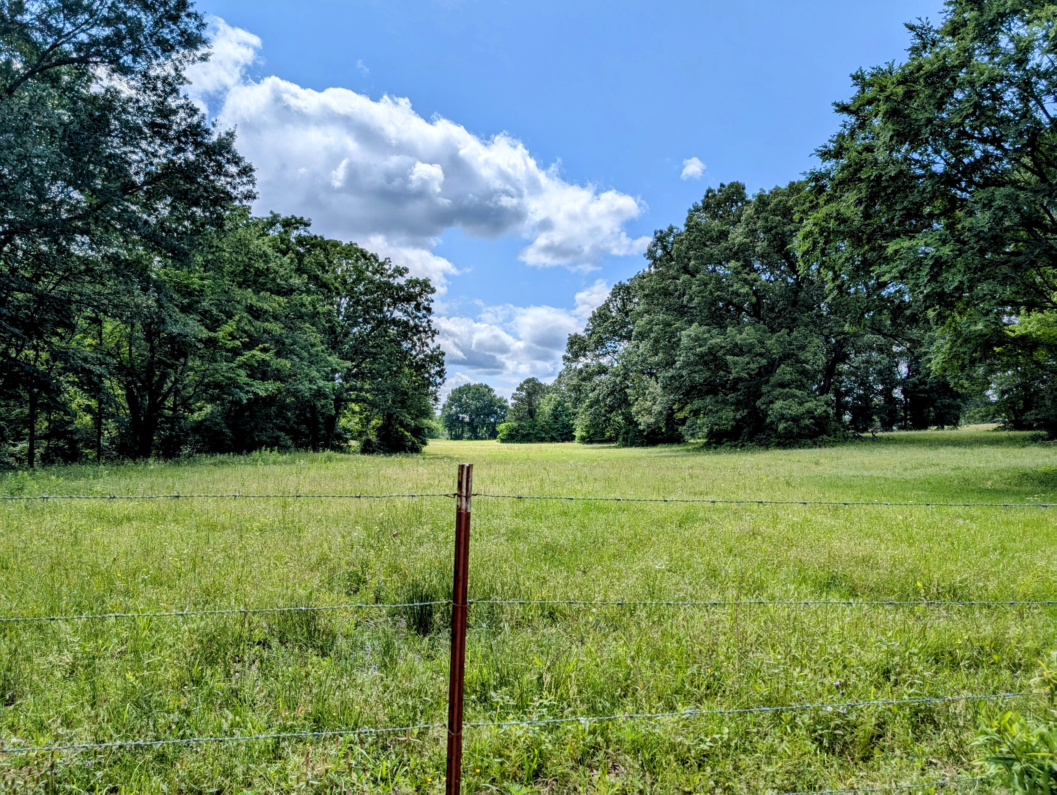 Smithville, Oklahoma, 74957, United States, ,Land,For Sale,1978835