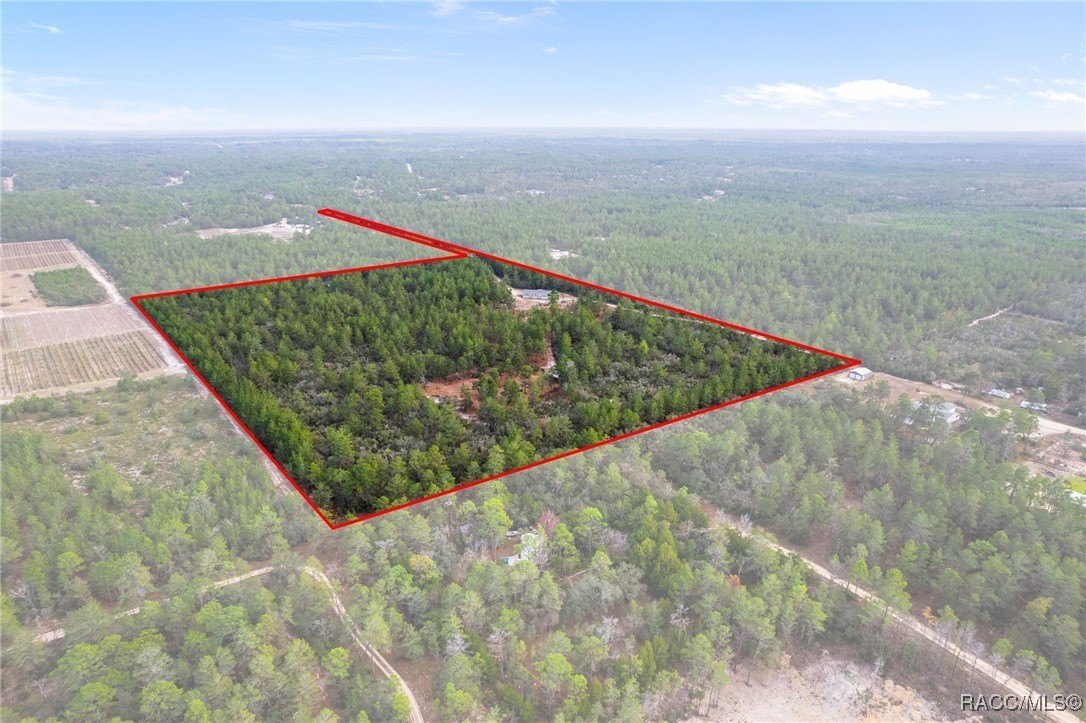 Dunnellon, Florida, 34433, United States, 4 Bedrooms Bedrooms, ,3 BathroomsBathrooms,Residential,For Sale,2008614