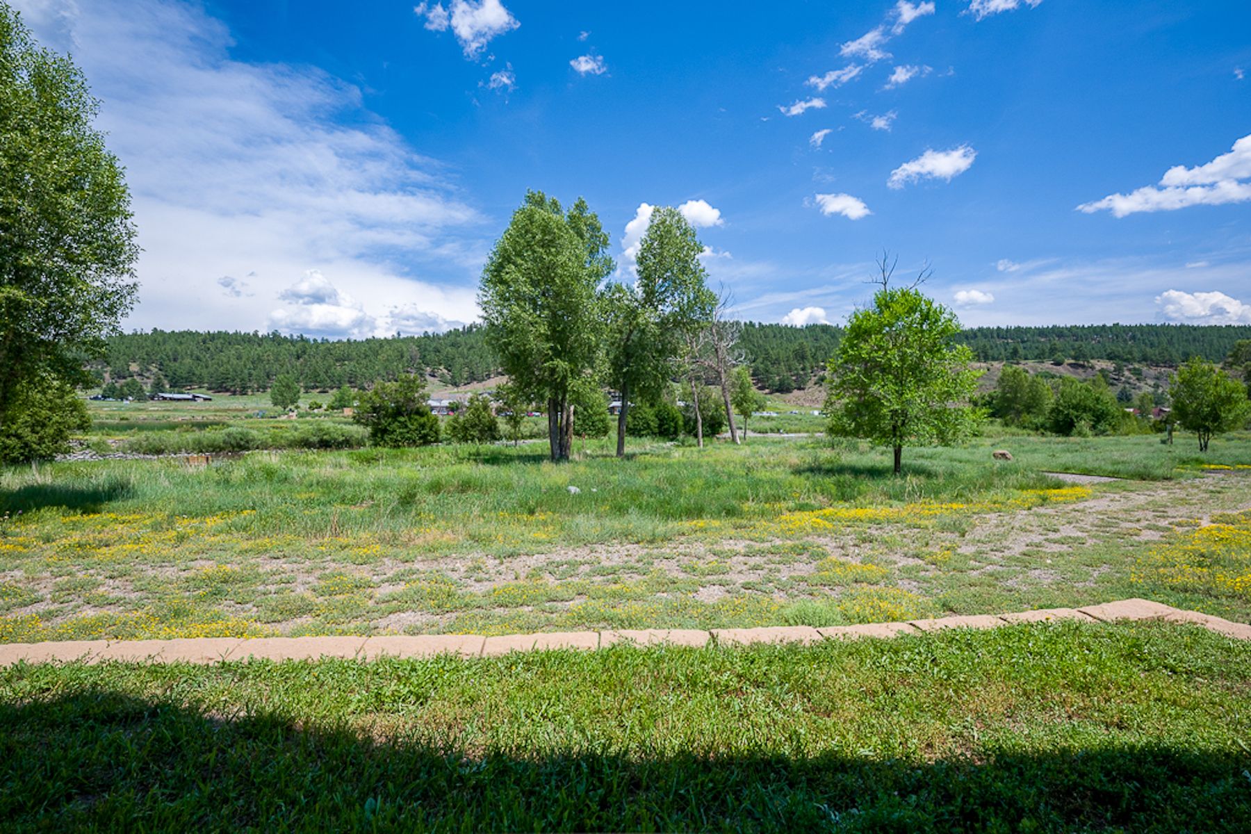  502 South 5th Street C-1, Pagosa Springs, CO 81147 - 物件實景