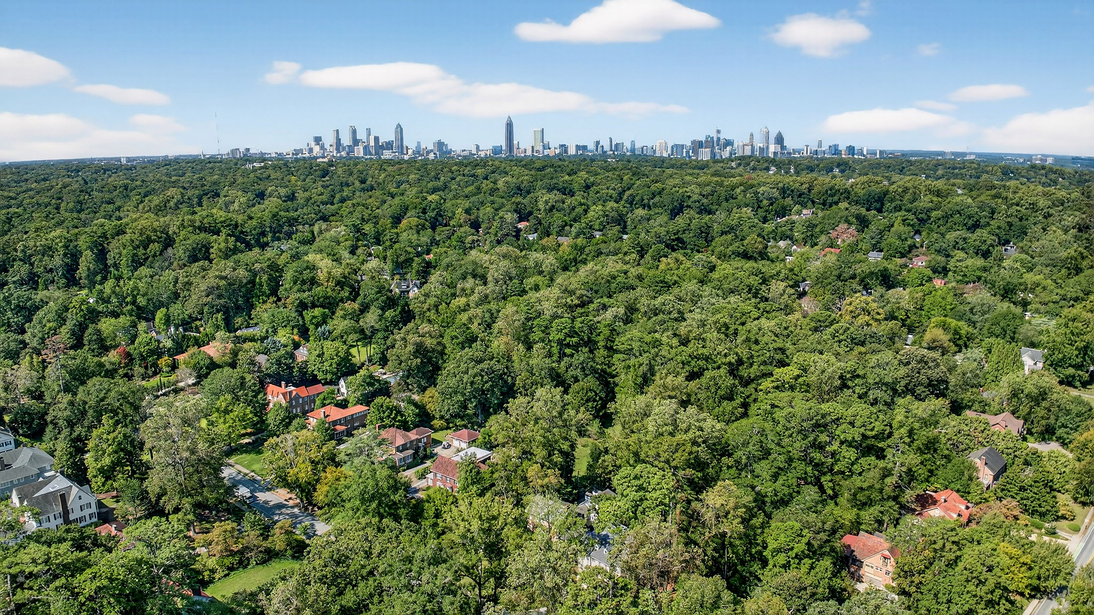  One of a Kind New Construction Home in Prestigious Druid Hills - 物件實景