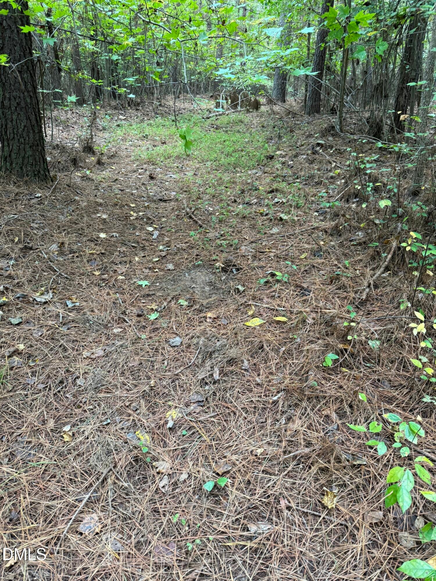 Oxford, North Carolina, 27565, United States, ,Land,For Sale,2000467