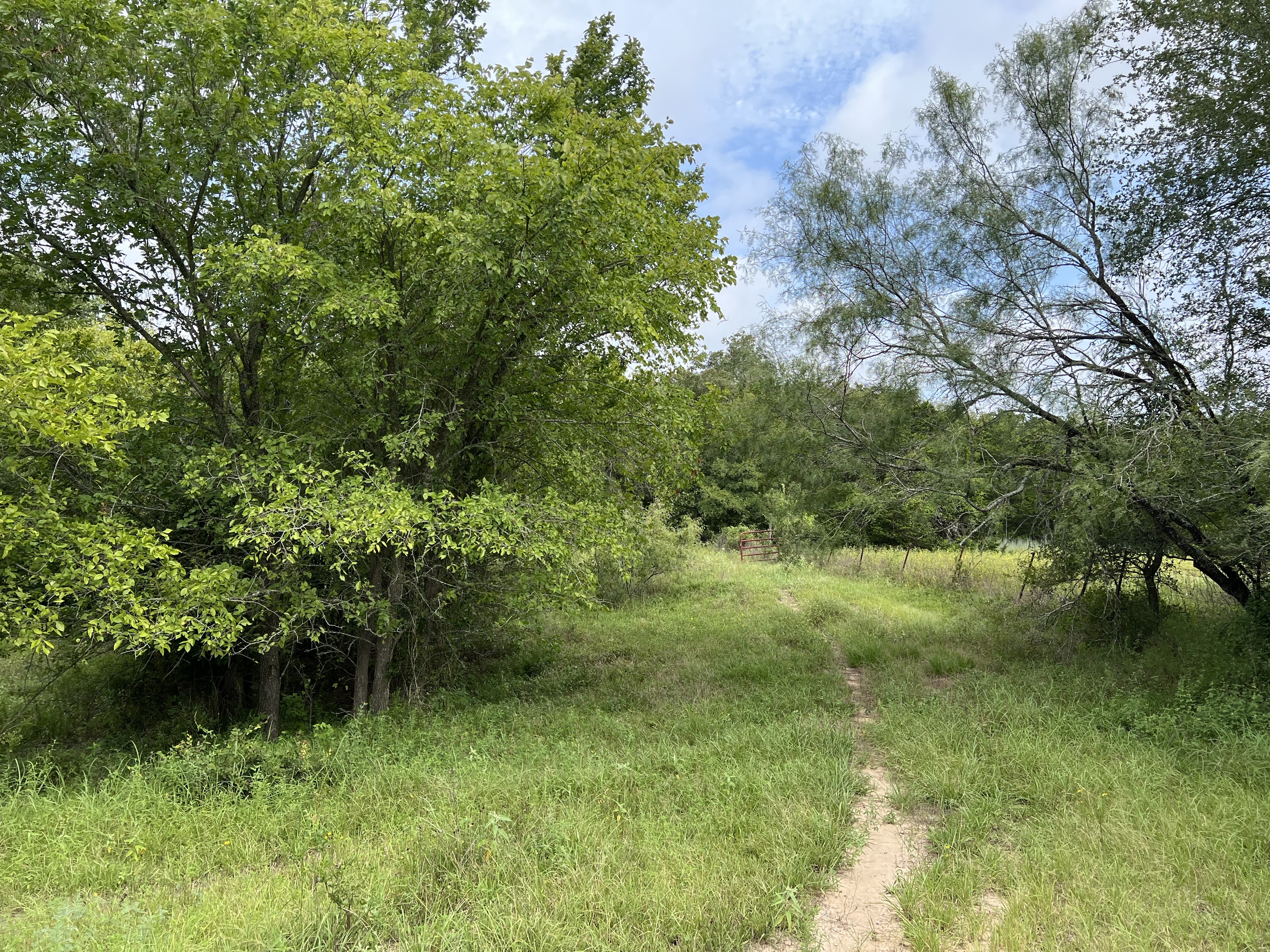 Cedar Creek, Texas, 78612, United States, 4 Bedrooms Bedrooms, ,3 BathroomsBathrooms,Residential,For Sale,1933208