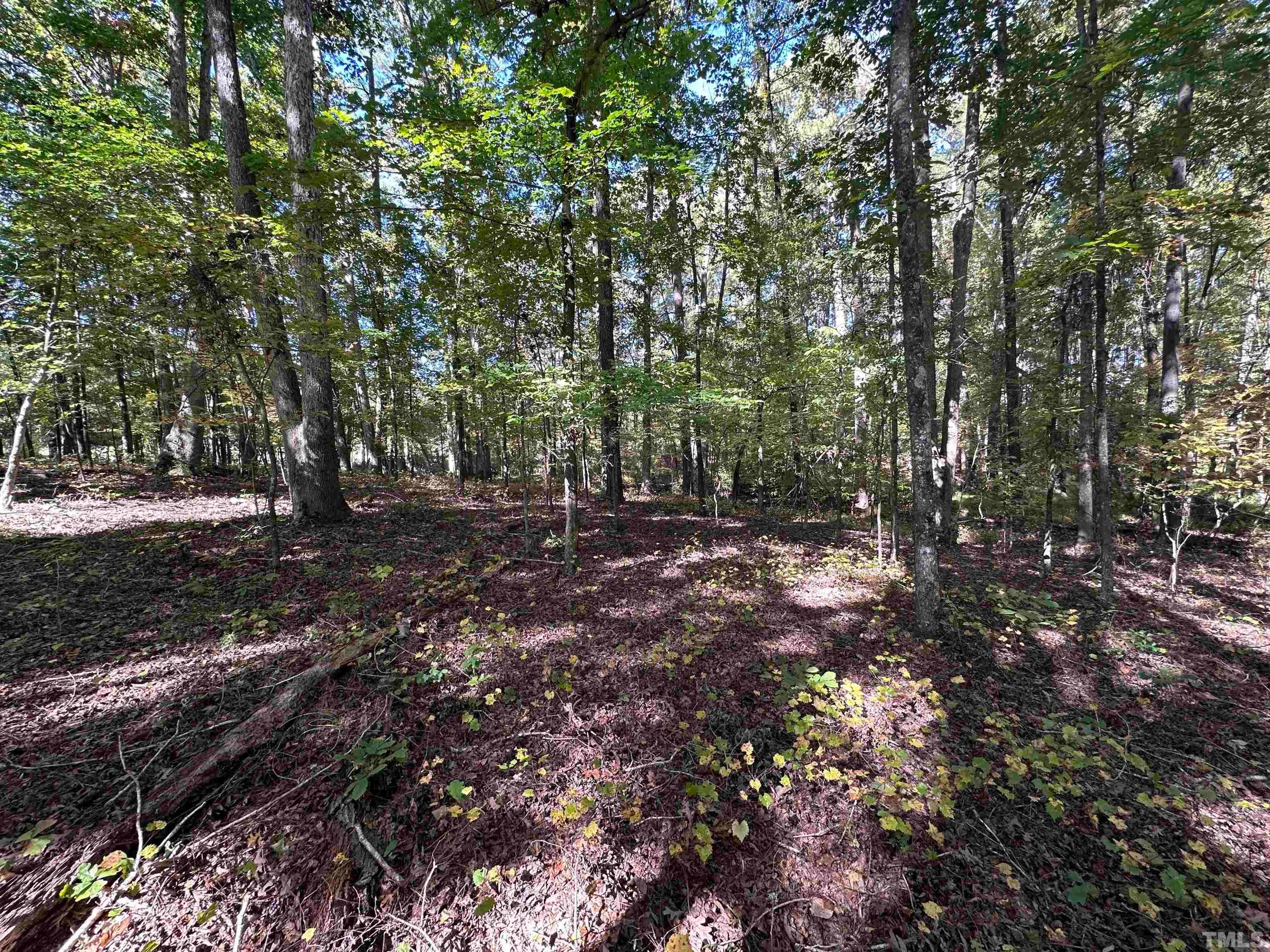 8017 Farrington Mill Road, Chapel Hill, North Carolina, 27517, United States, ,Land,For Sale,8017 Farrington Mill Road,1623508