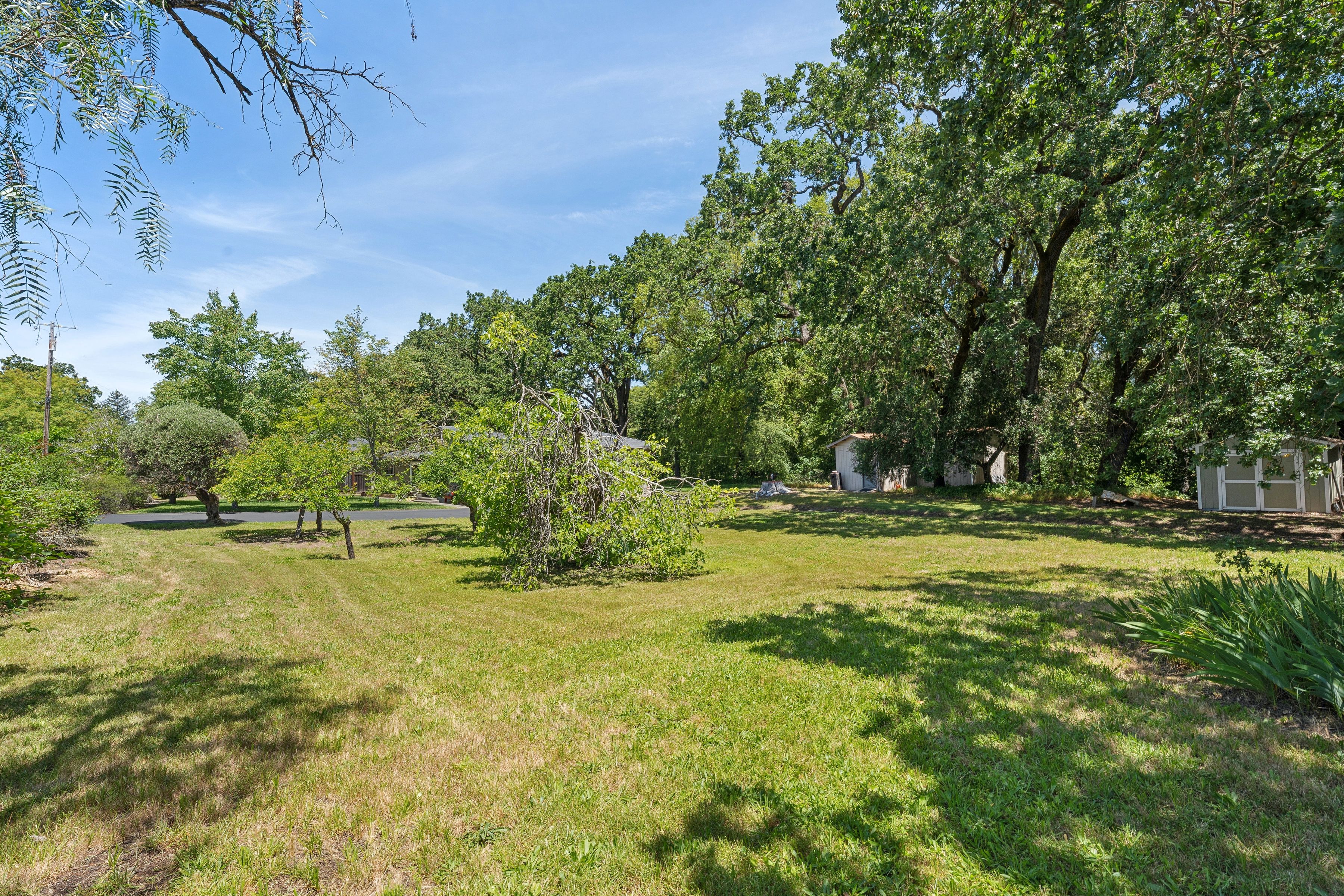  825 Woodside Aka Madrone Road - 物件實景