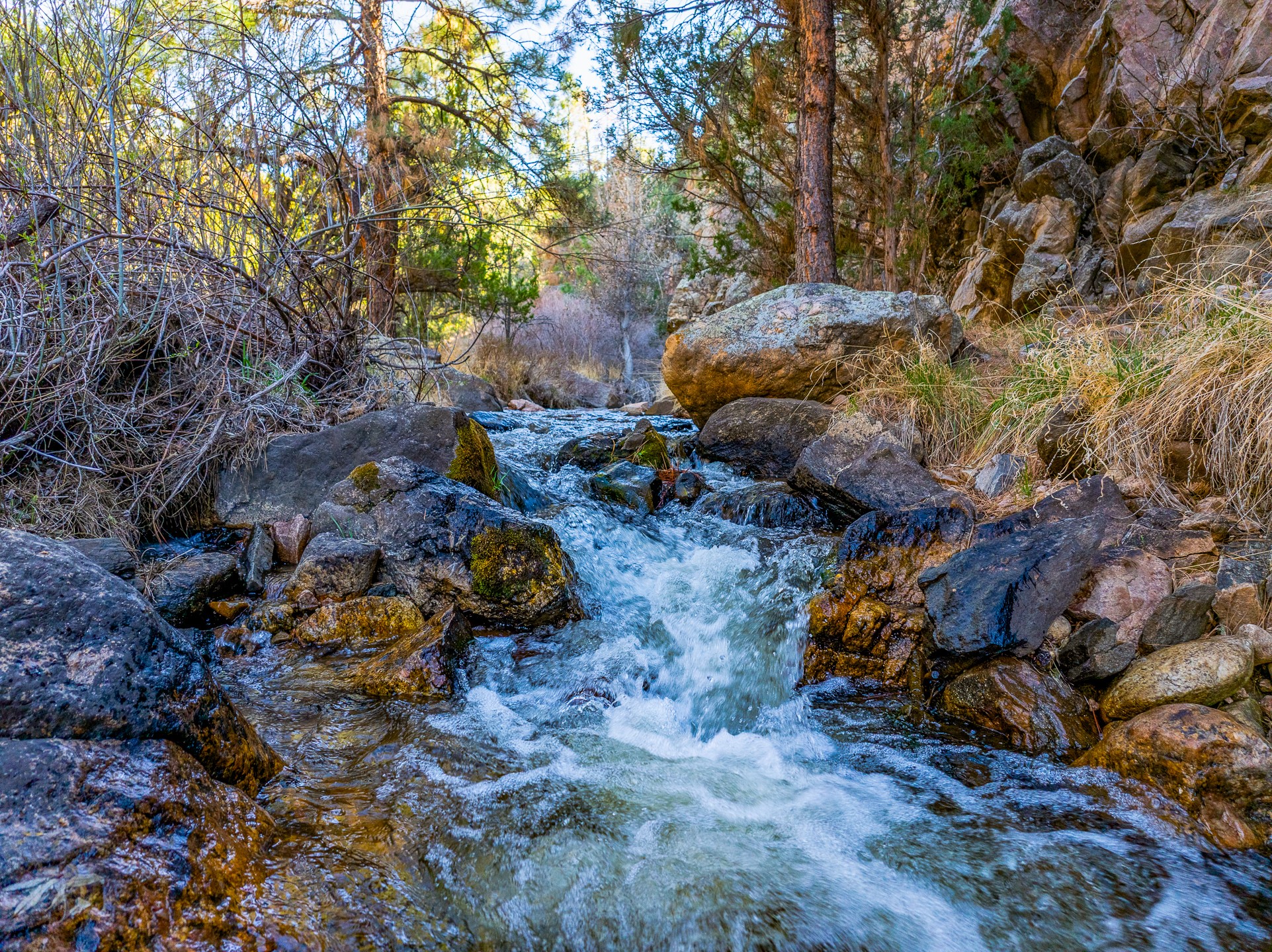  5.9 Acre Lot Camino Del Canon - 物件實景