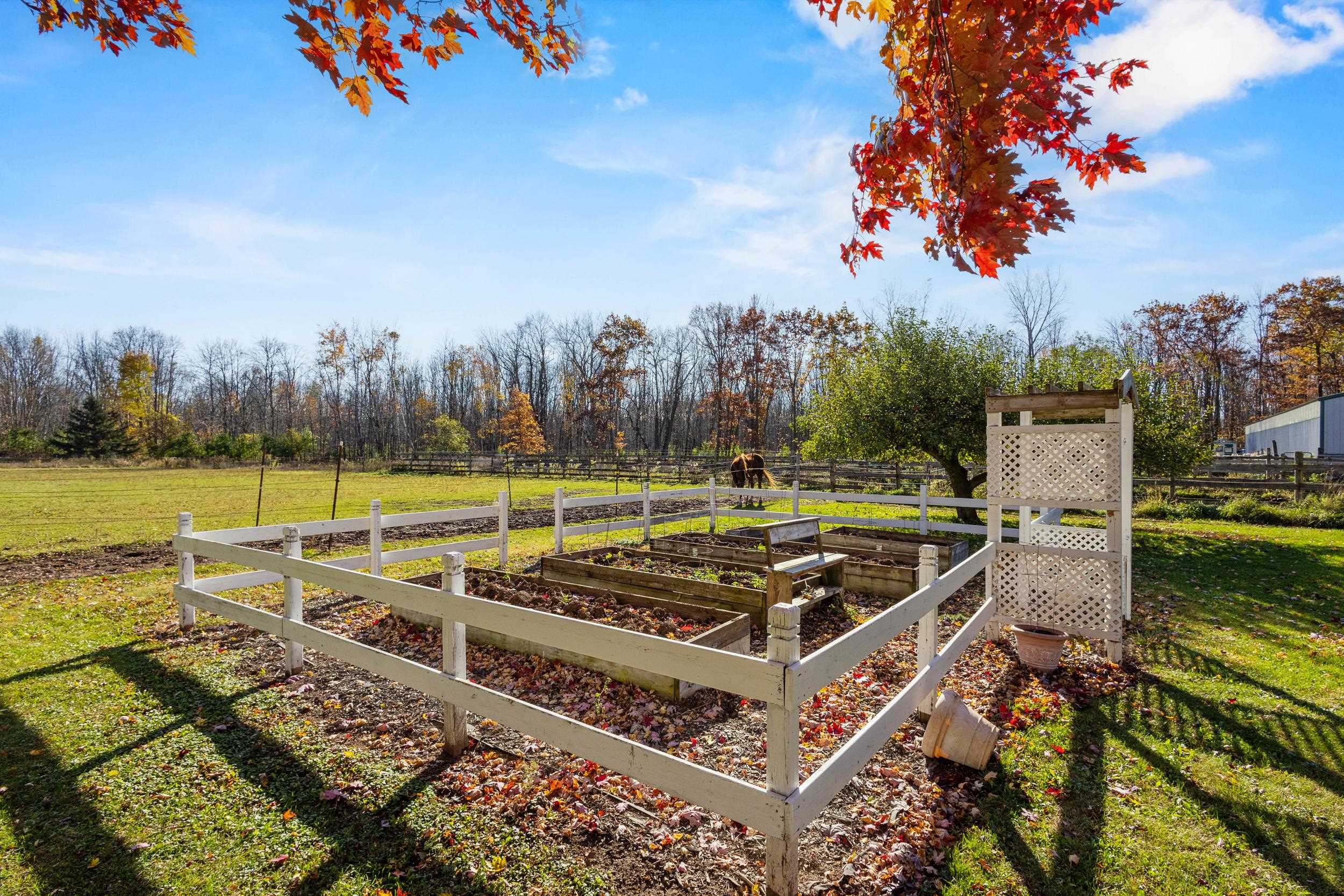 Shiocton, Wisconsin, 54170, United States, 3 Bedrooms Bedrooms, ,2 BathroomsBathrooms,Residential,For Sale,2035807