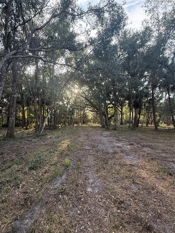 Palm Coast, Florida, 32137, United States, ,Land,For Sale,2000398