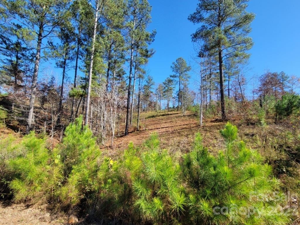 Connelly Springs, North Carolina, 28612, United States, 3 Bedrooms Bedrooms, ,2 BathroomsBathrooms,Residential,For Sale,1928707