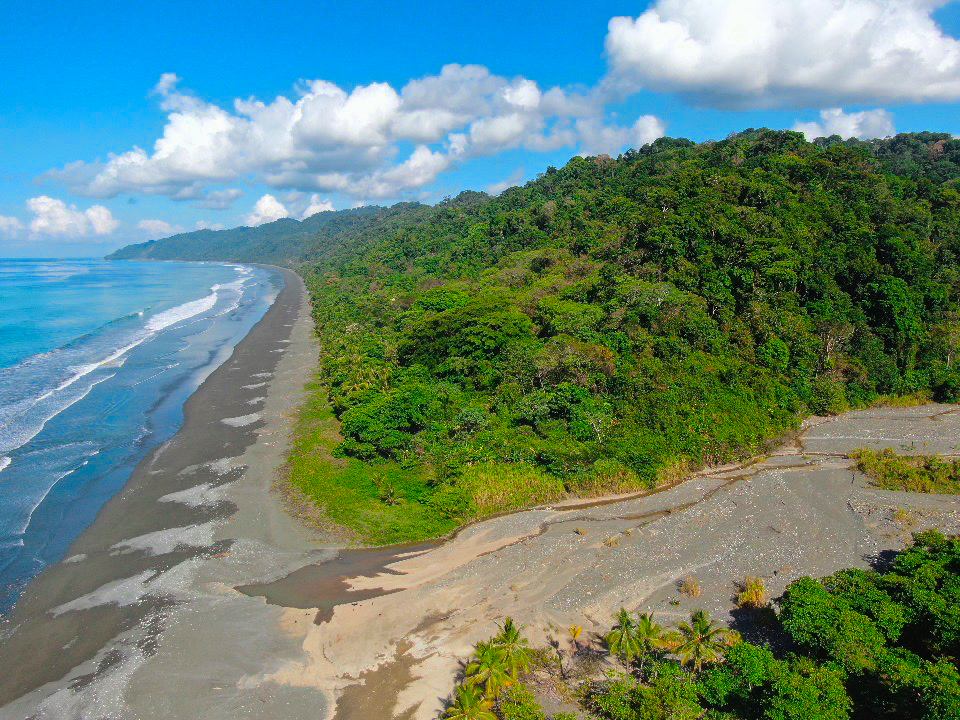 Osa Peninsula, Carate, Cabo Matapalo, Puntarenas, CR, ,Land,For Sale,Osa Peninsula, Carate,1585857