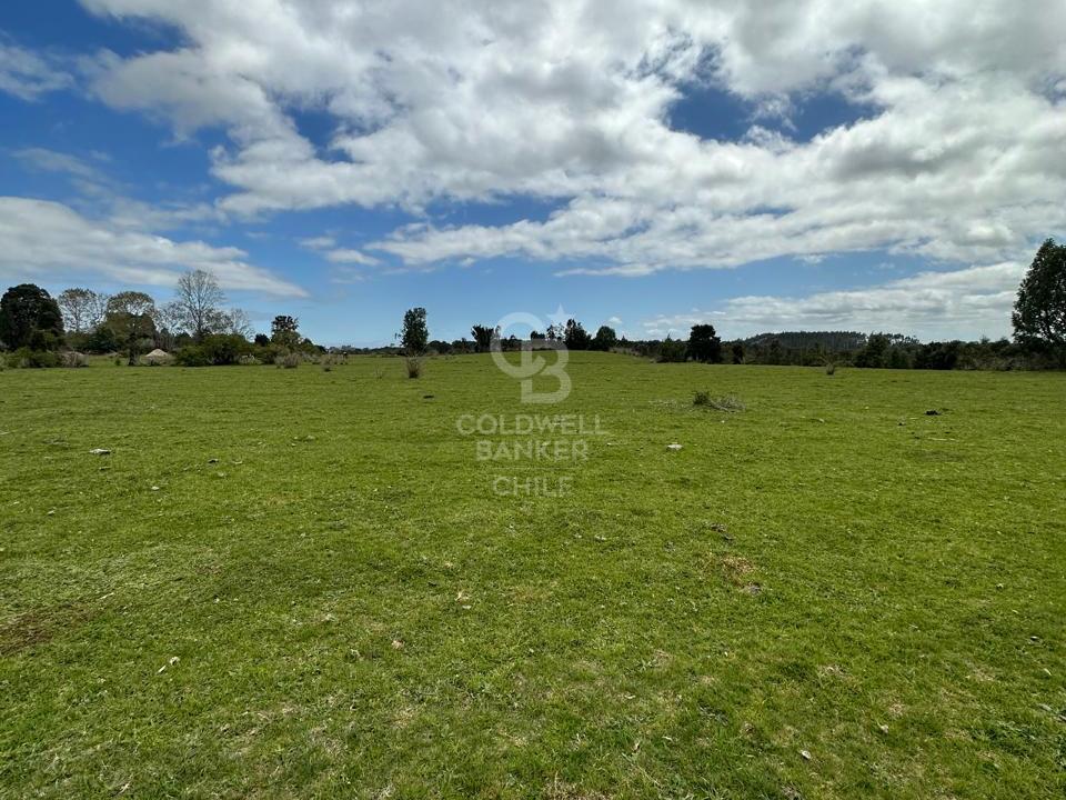 Maullín, Chile, ,Residential,For Sale,1994517