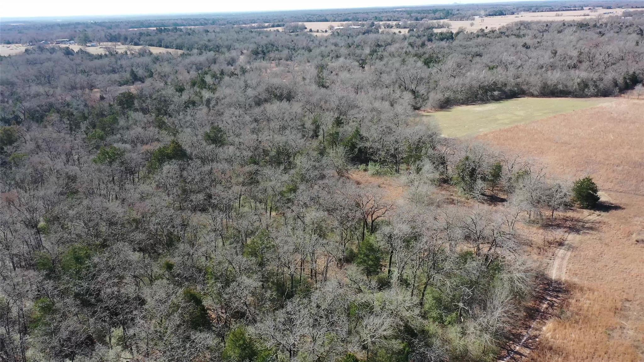1151 Fowler Road, Bremond, Texas, 76629, United States, ,Land,For Sale,1151 Fowler Road,1621605