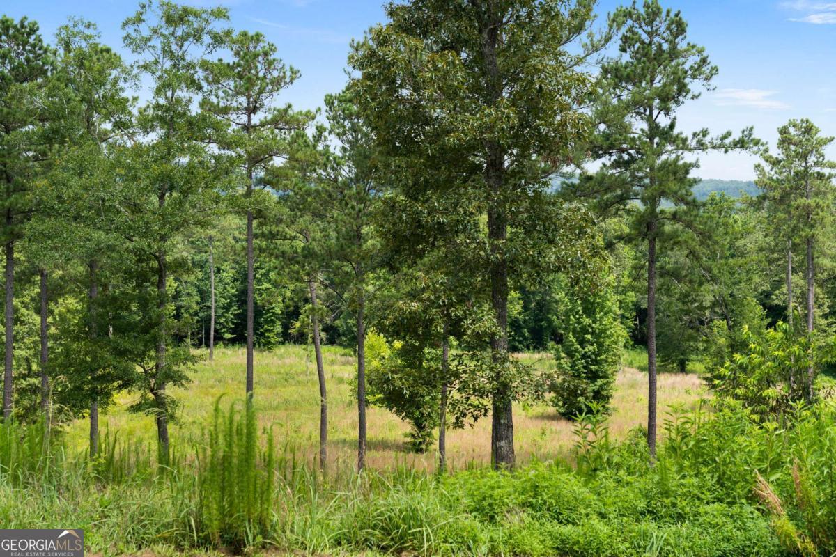 Rome, Georgia, 30165, United States, ,Land,For Sale,1890078