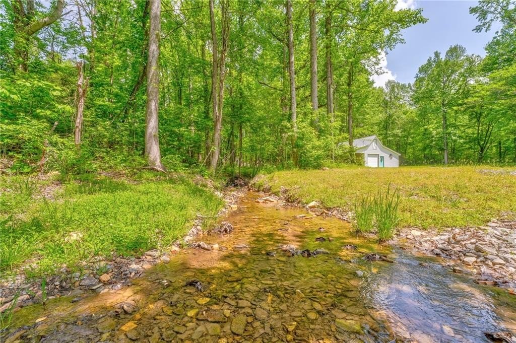 Jasper, Georgia, 30143, United States, ,Land,For Sale,1981403