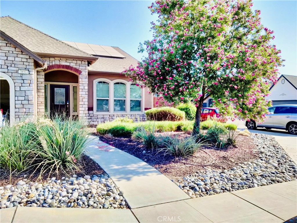Clovis, California, 93619, United States, 3 Bedrooms Bedrooms, ,2 BathroomsBathrooms,Residential,For Sale,1919541