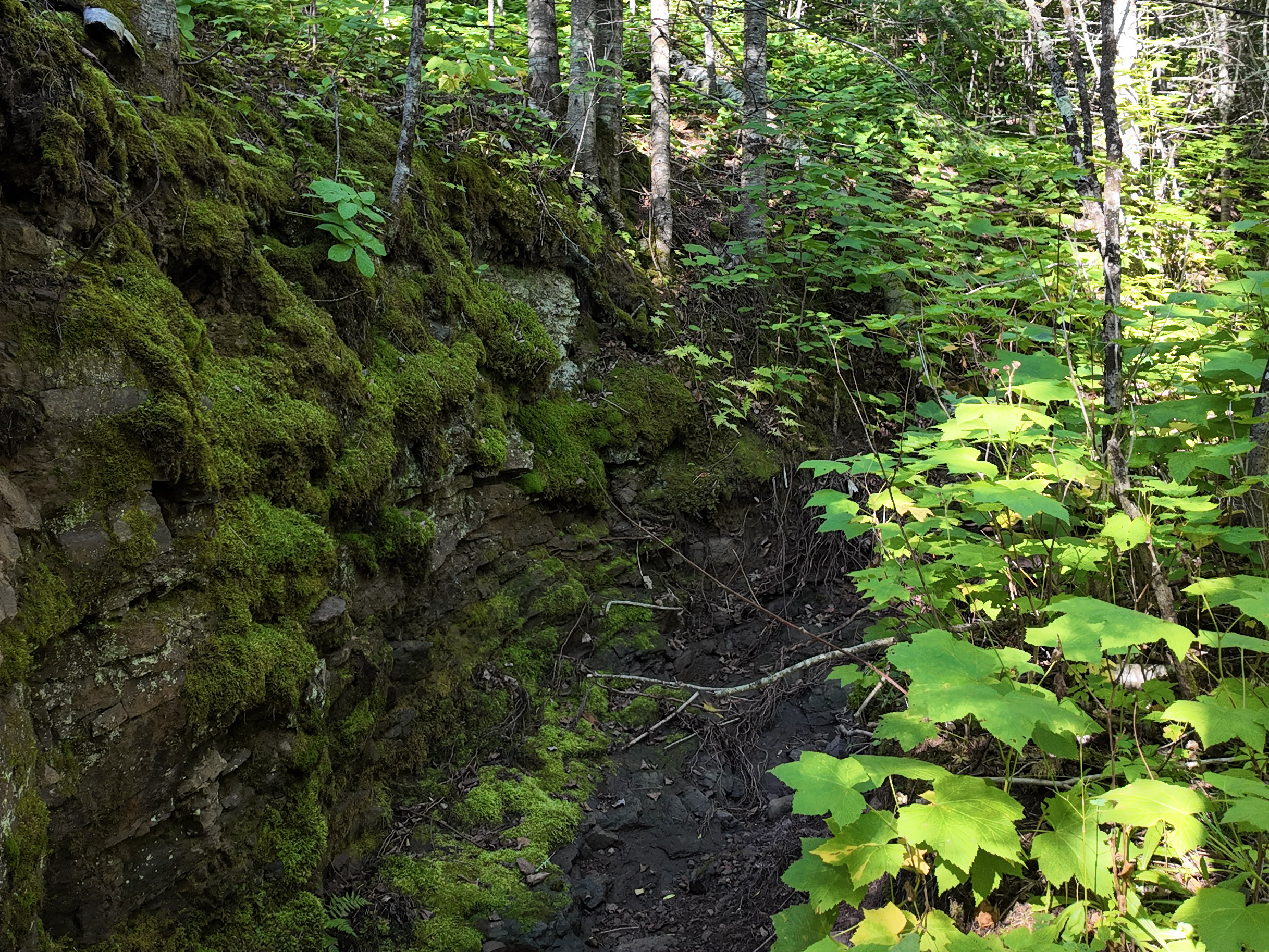  A Rare North Shore Homesite Near Grand Marais - 物件實景