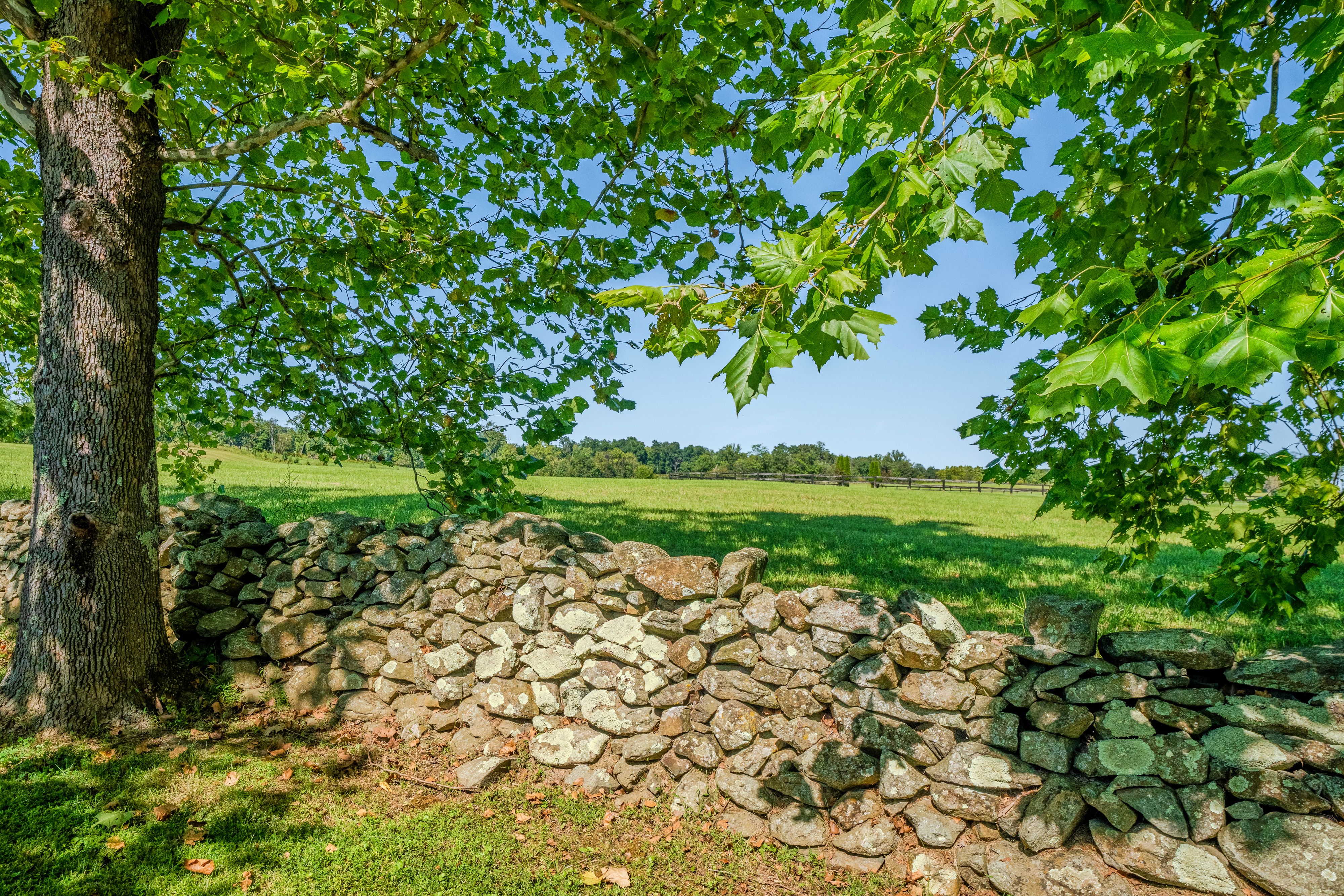  Peace and Plenty at Bollingbrook, circa 1809 - 物件實景