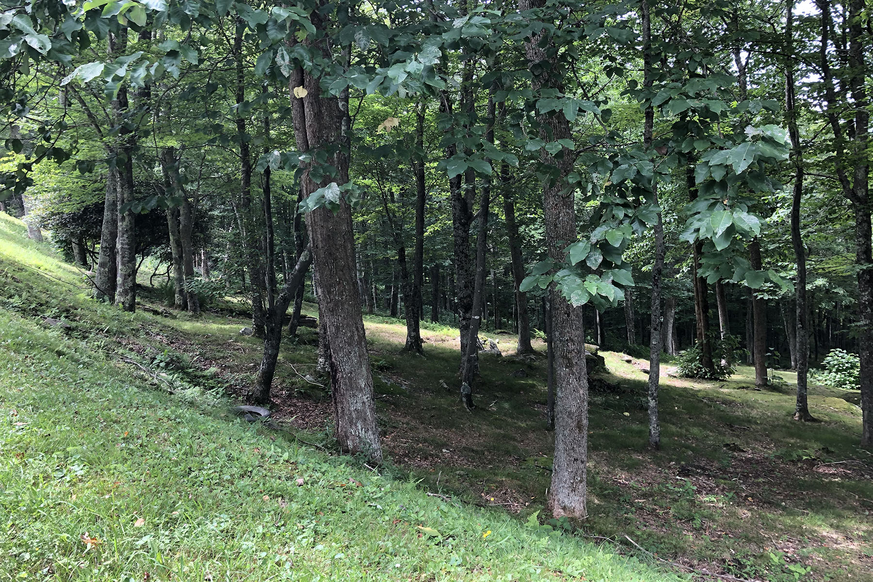  BANNER ELK - ROCKY KNOB - 物件實景