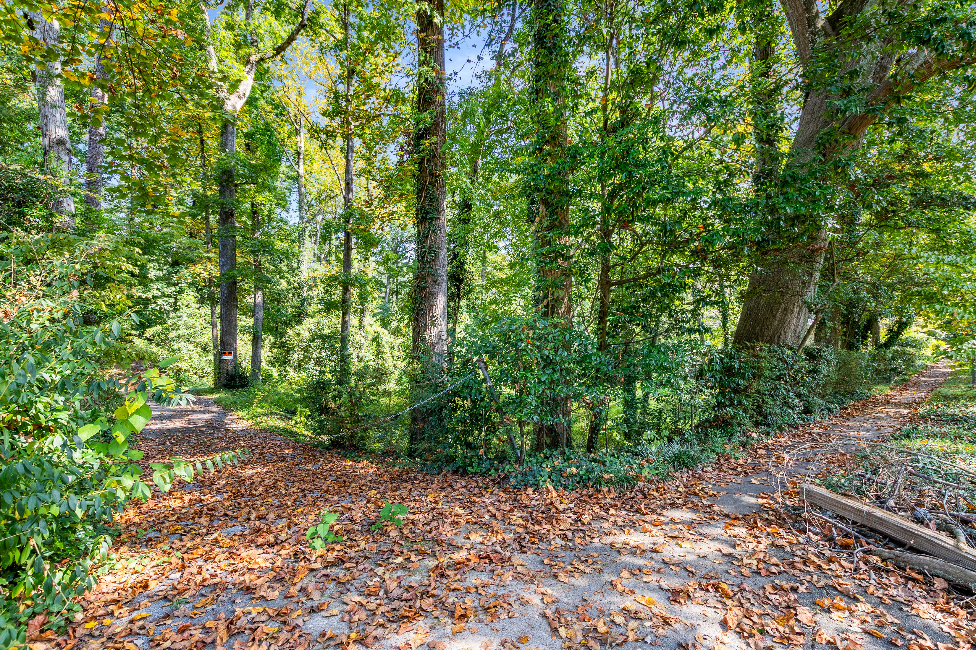  Three Contiguous Lots for New Construction in Historic Druid Hills - 物件實景