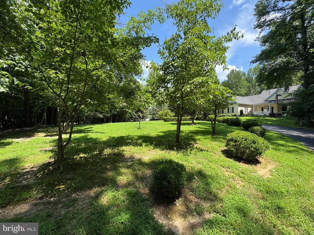 Spotsylvania, Virginia, 22553, United States, 3 Bedrooms Bedrooms, ,2 BathroomsBathrooms,Residential,For Sale,1906703