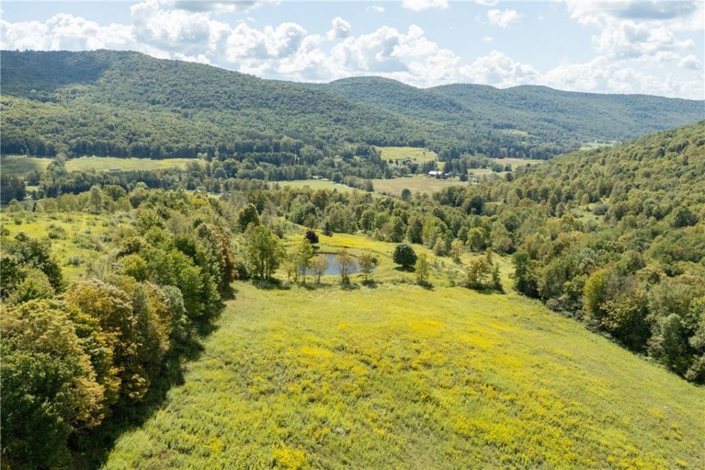 Walton, New York, 13856, United States, 4 Bedrooms Bedrooms, ,4 BathroomsBathrooms,Residential,For Sale,1947097