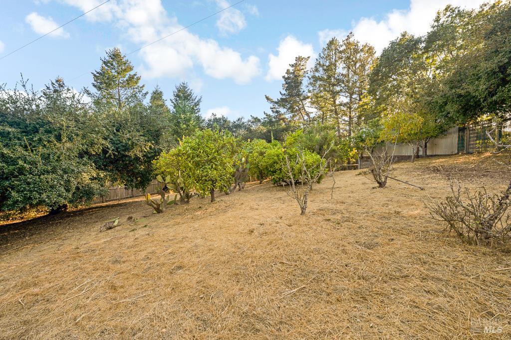Sebastopol, California, 95472, United States, 3 Bedrooms Bedrooms, ,3 BathroomsBathrooms,Residential,For Sale,1938553