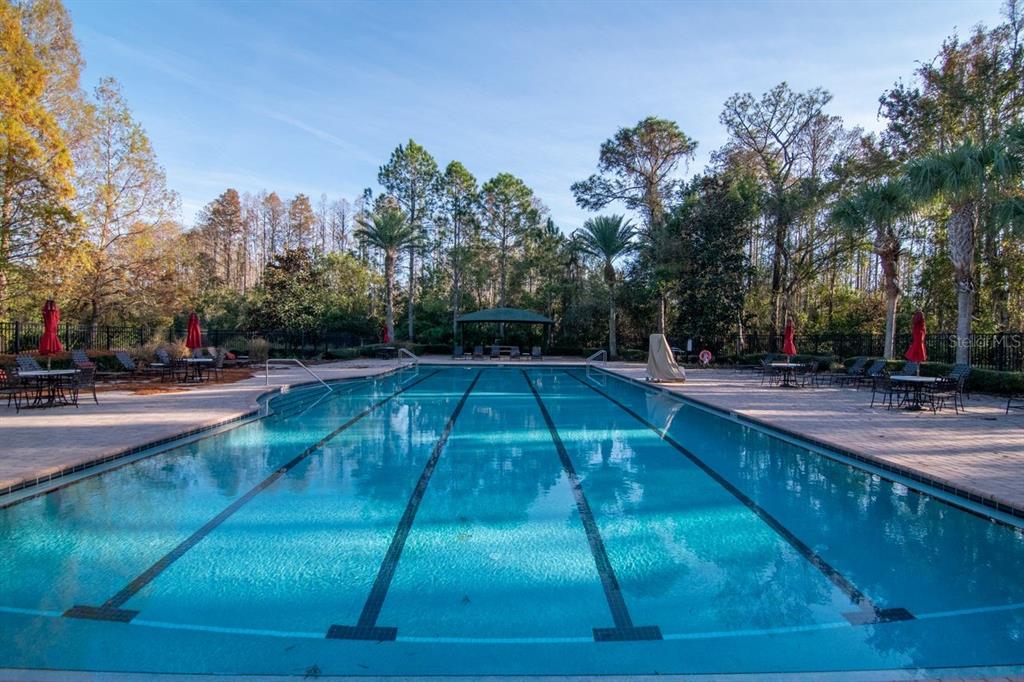 Land O Lakes, Florida, 34638, United States, 5 Bedrooms Bedrooms, ,4 BathroomsBathrooms,Residential,For Sale,2003047