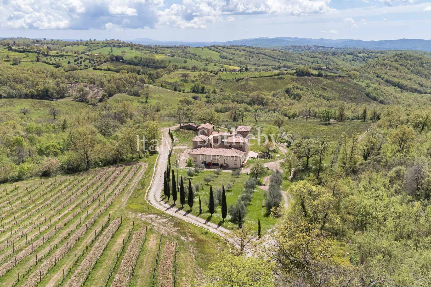  Fascinating property with vineyards and olive groves - 物件實景